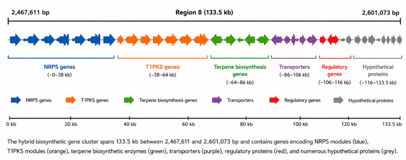 Preprints 216397 g002
