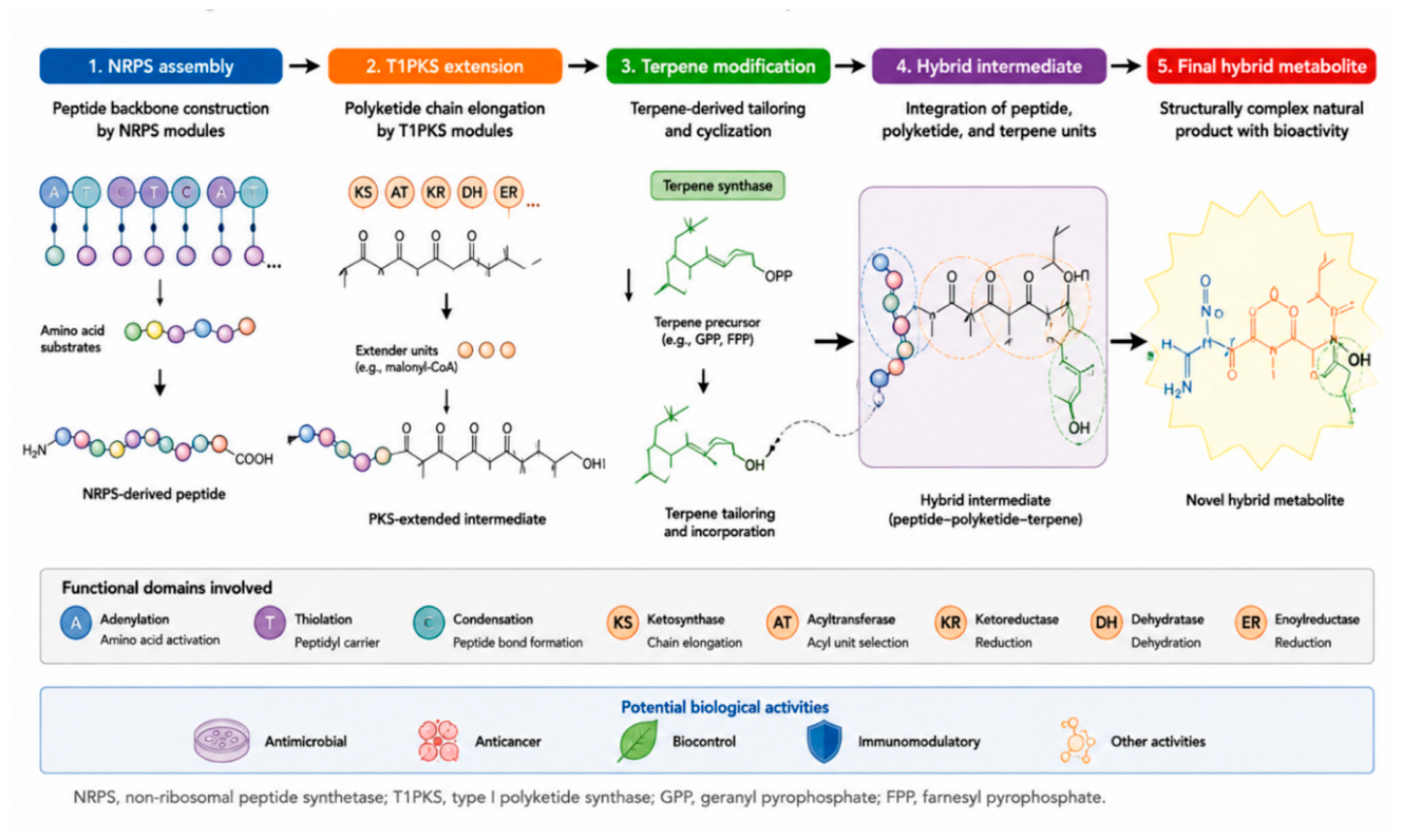 Preprints 216397 g003