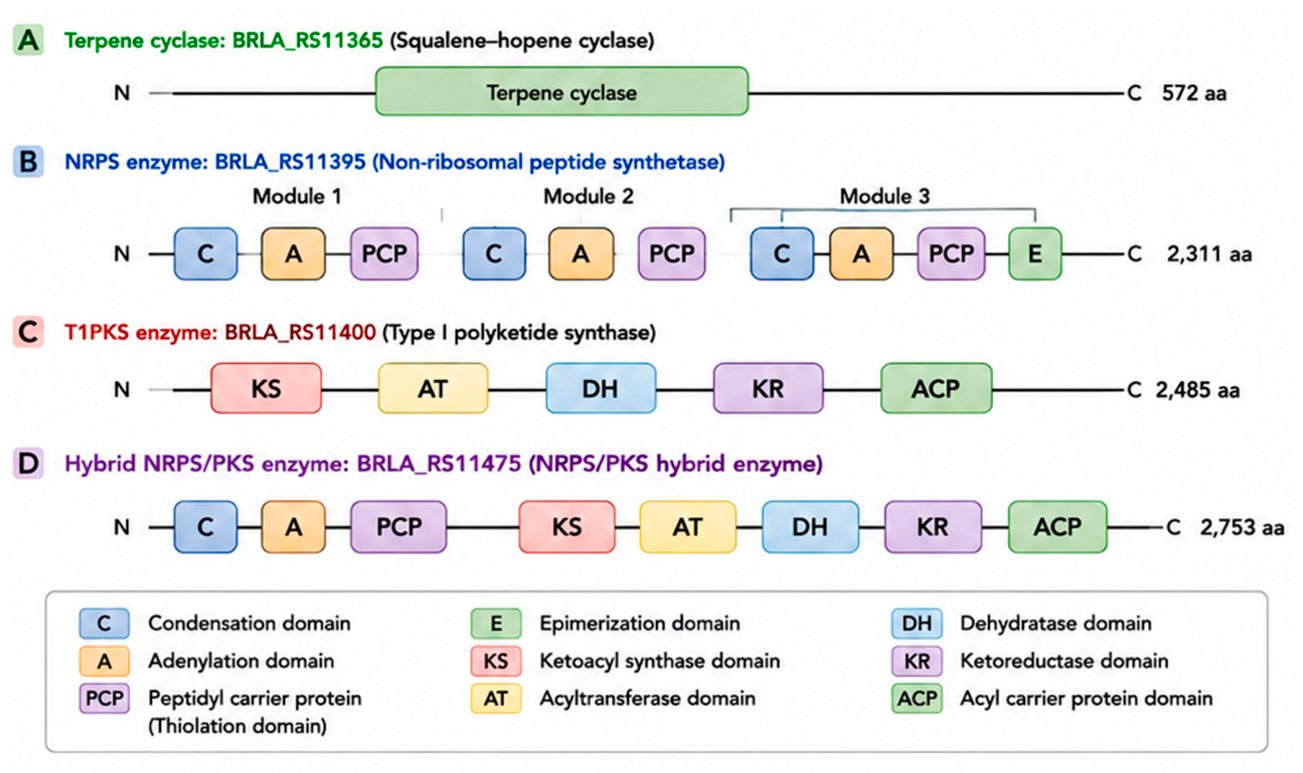 Preprints 216397 g004