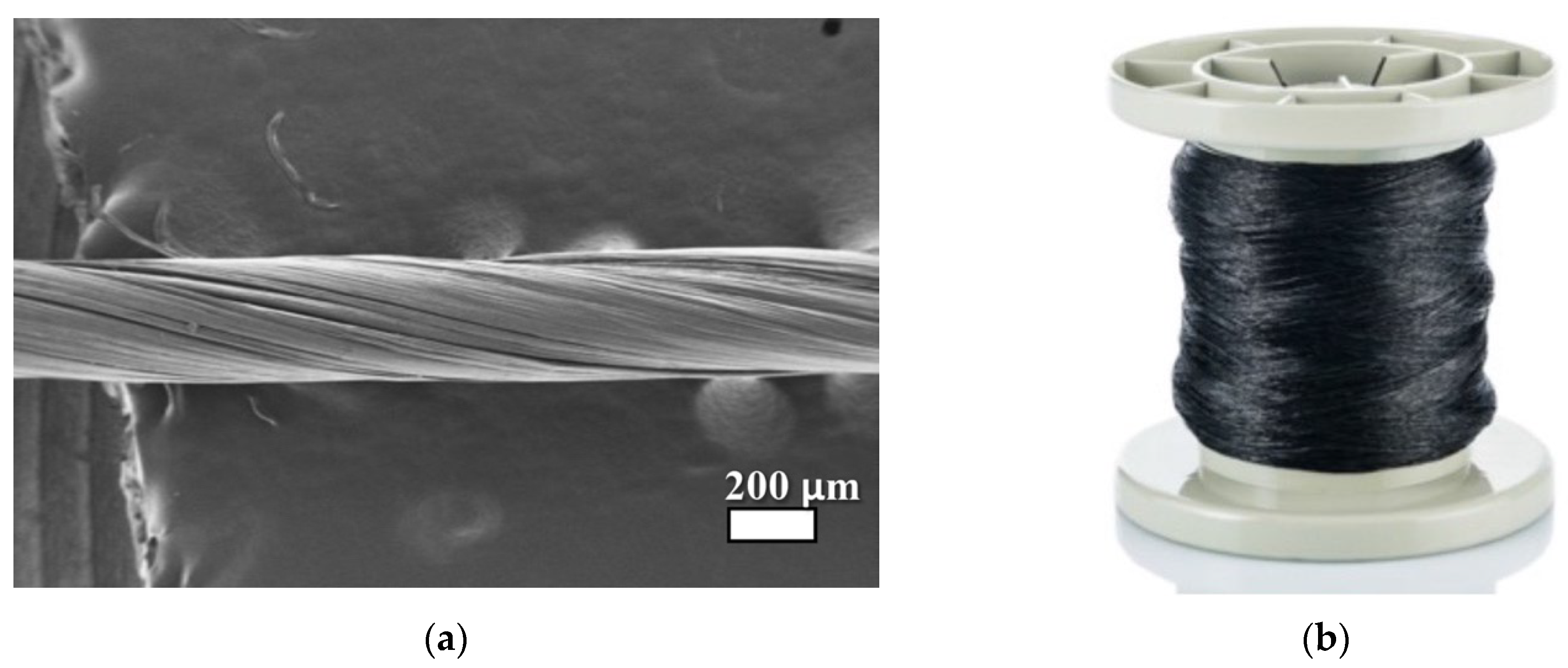 Preprints 144712 g001