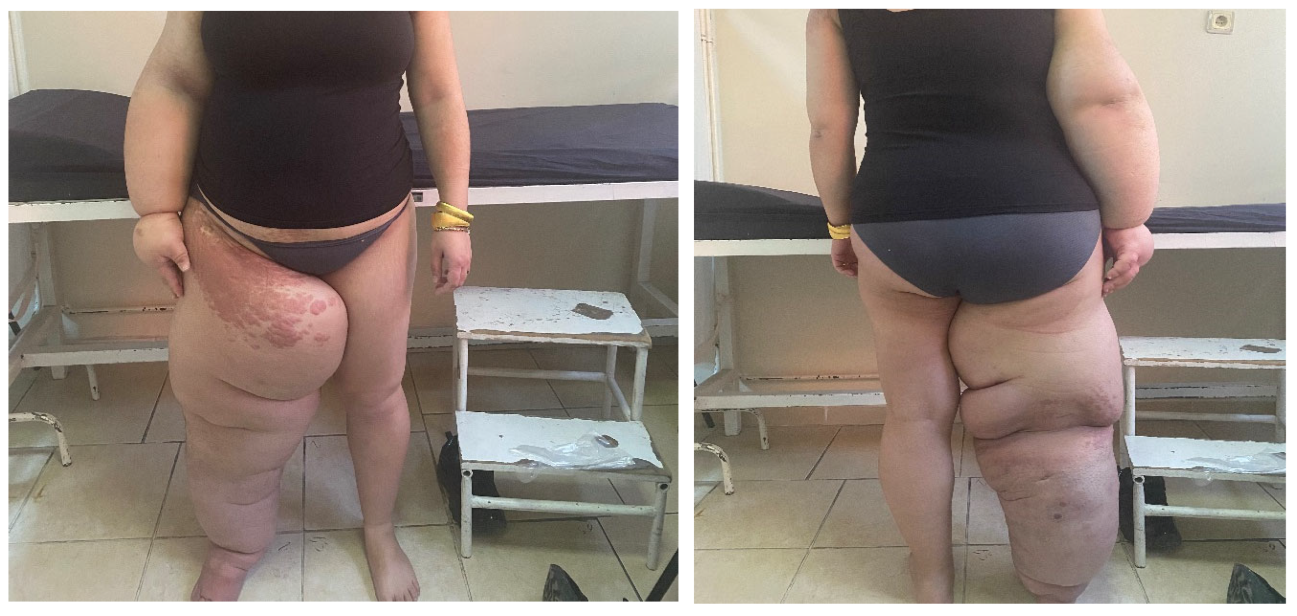 Preprints 91454 g001