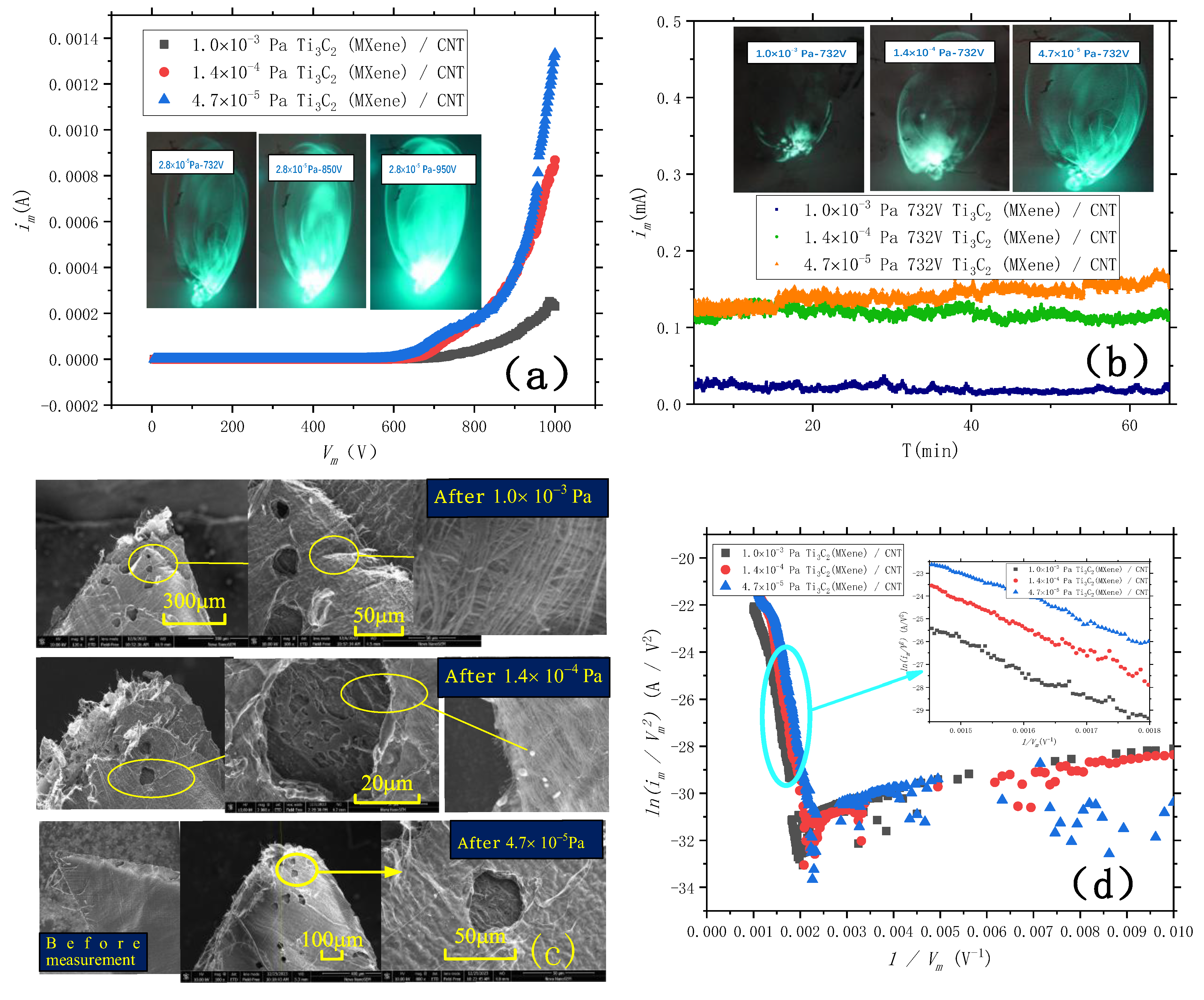 Preprints 191190 g005