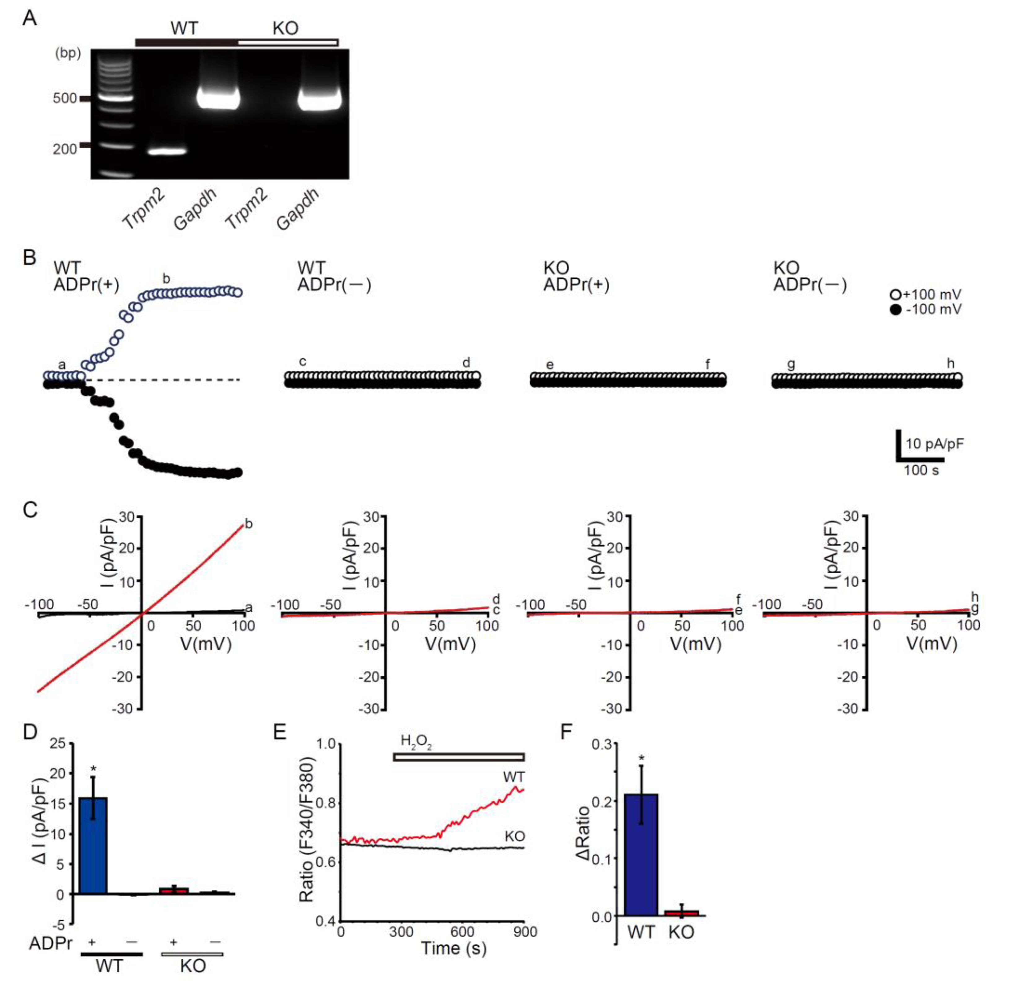 Preprints 185241 g001