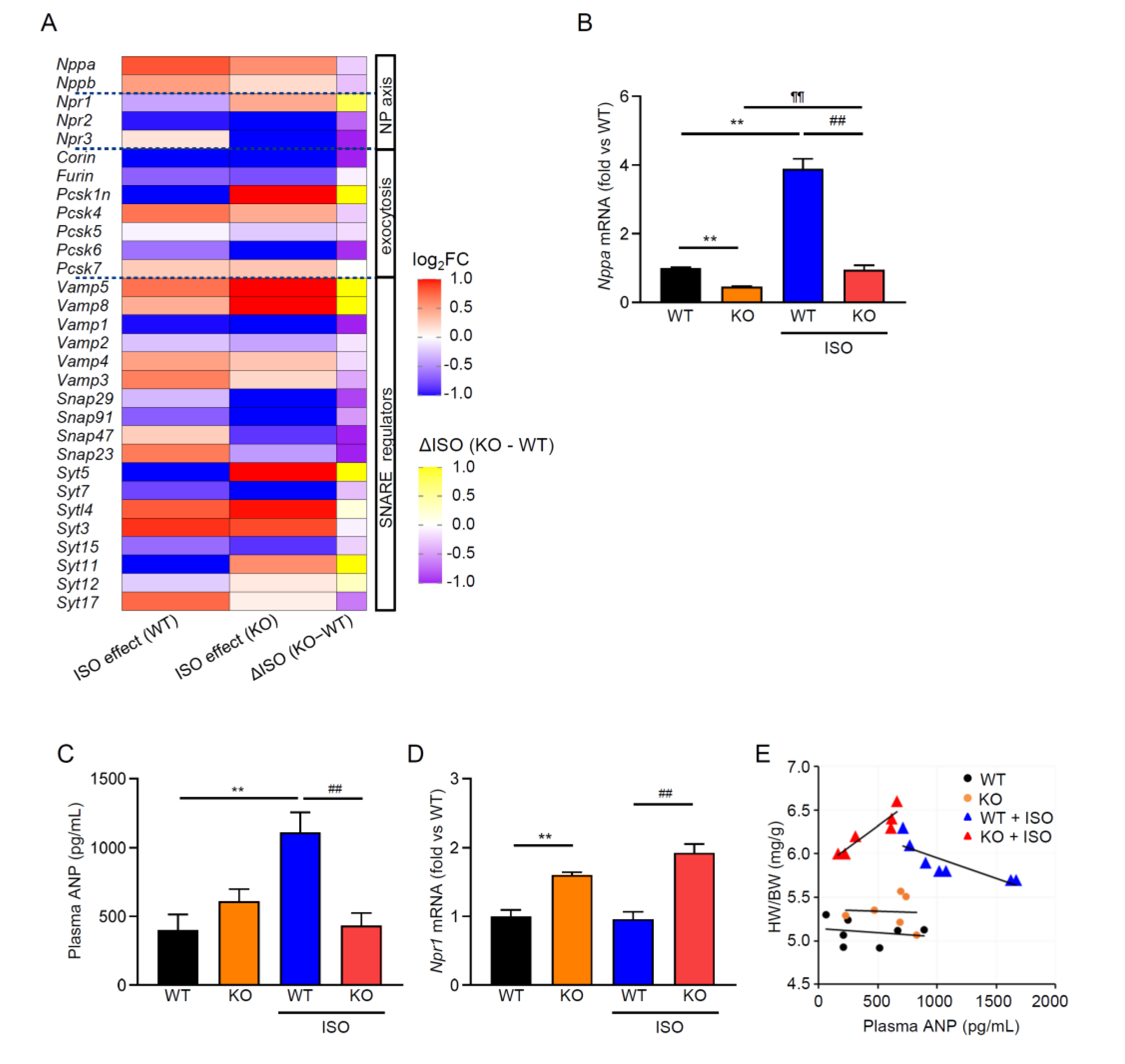 Preprints 185241 g003