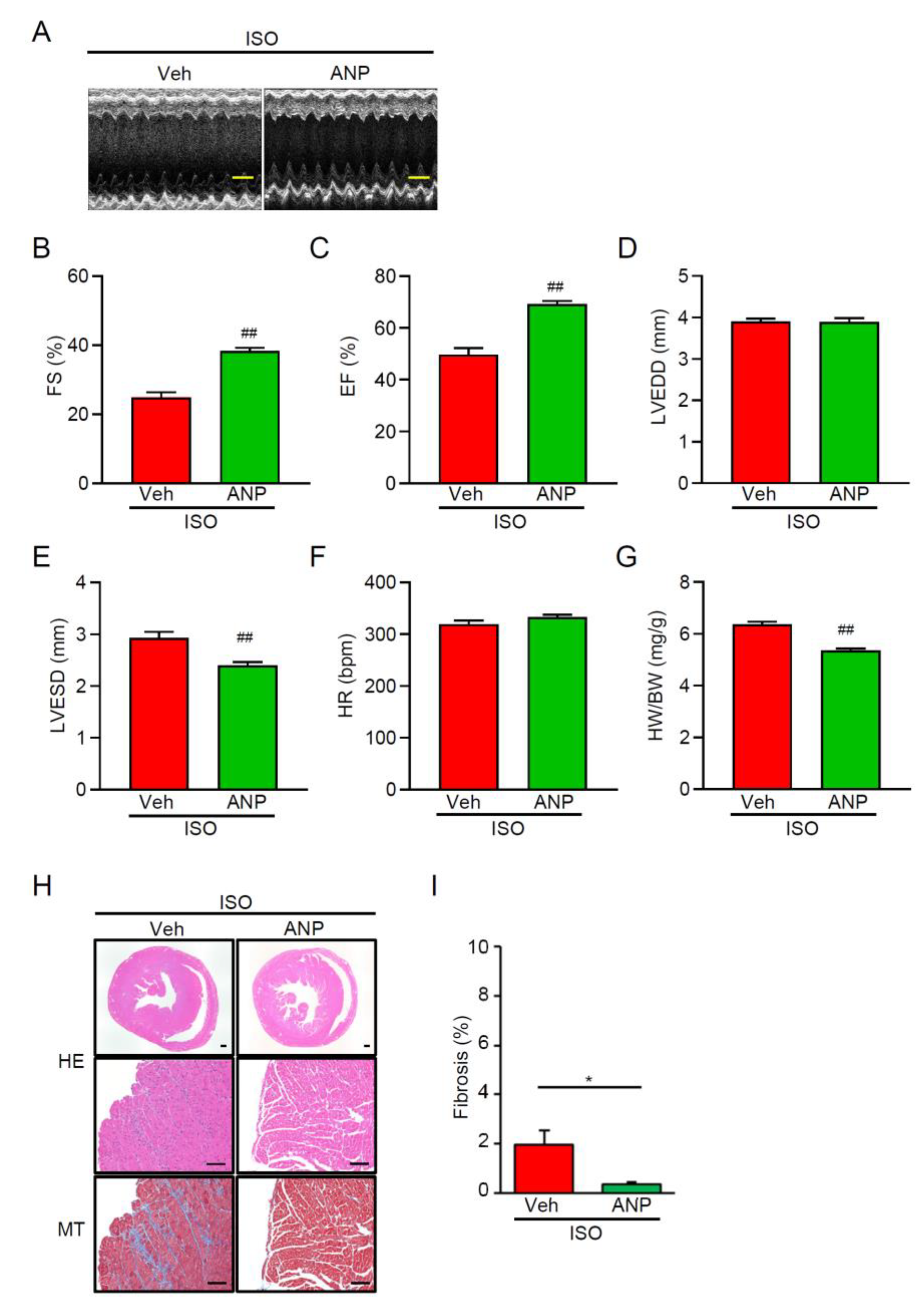 Preprints 185241 g004