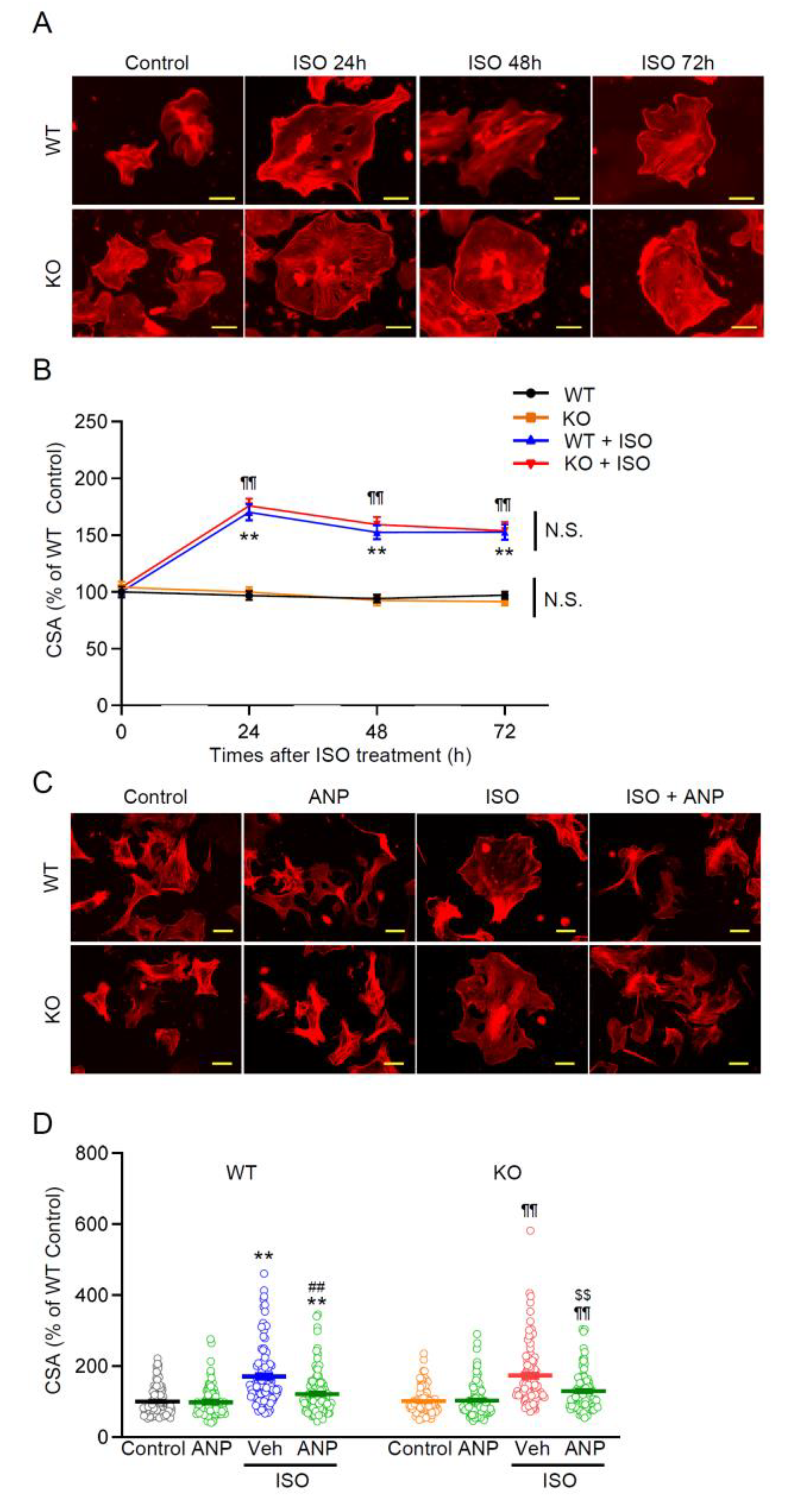 Preprints 185241 g005