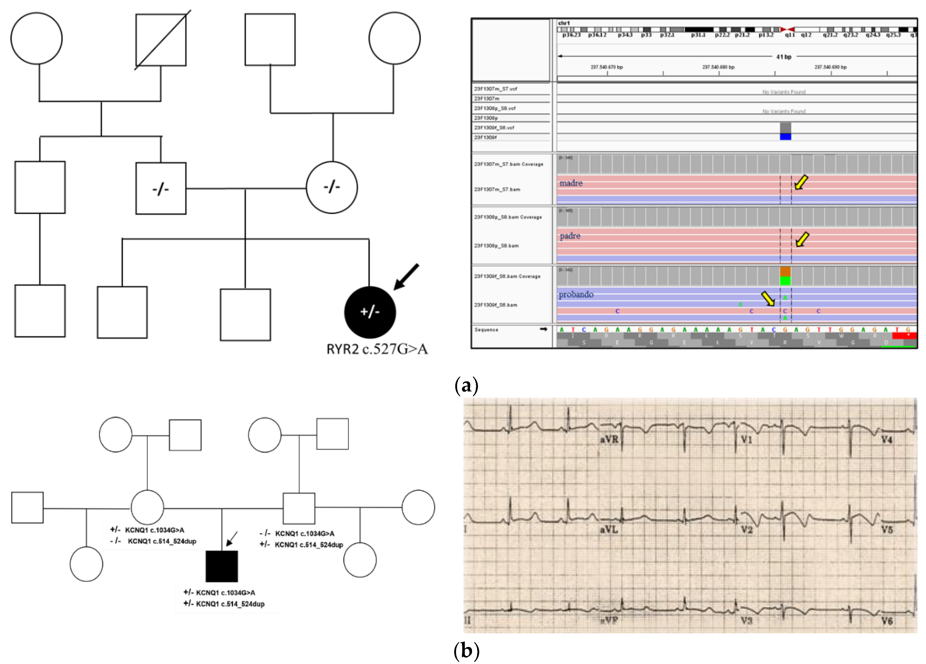 Preprints 168718 g002