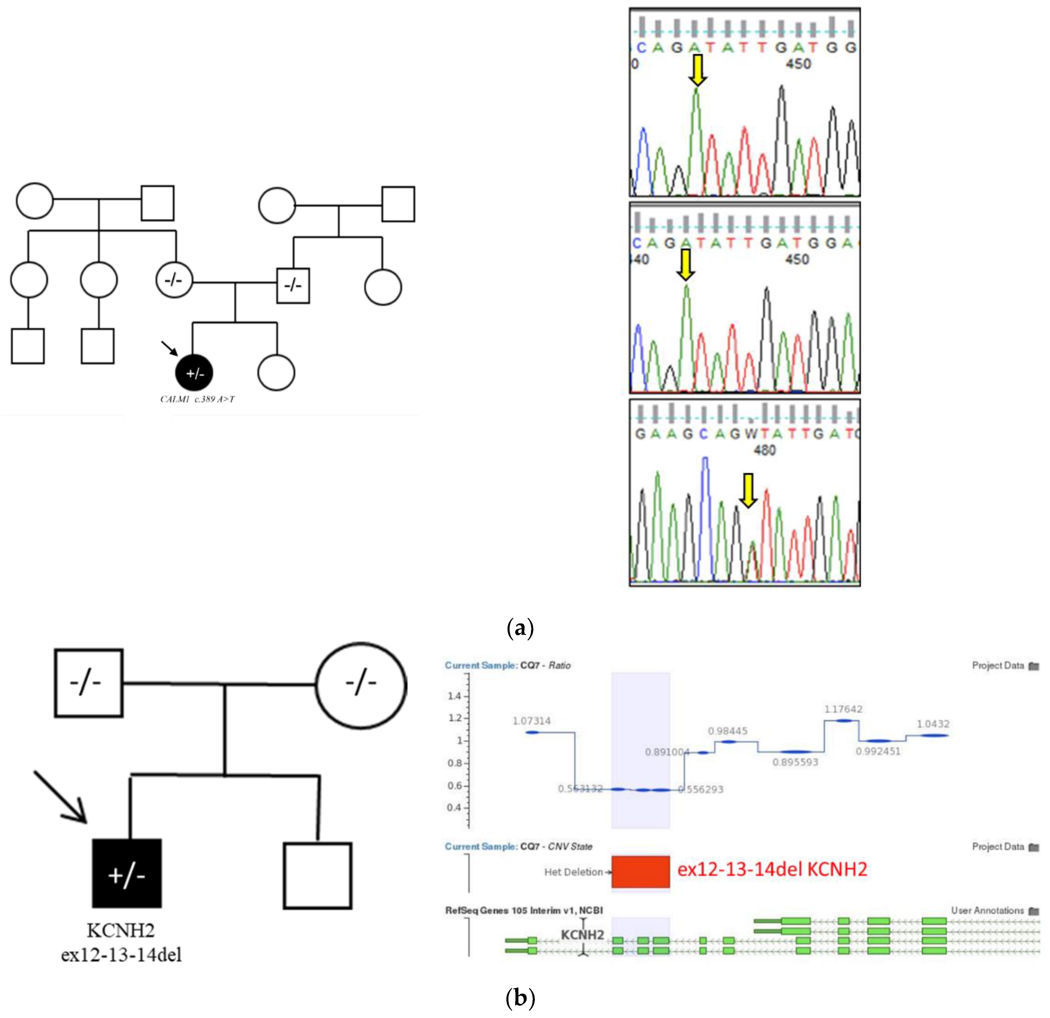 Preprints 168718 g003