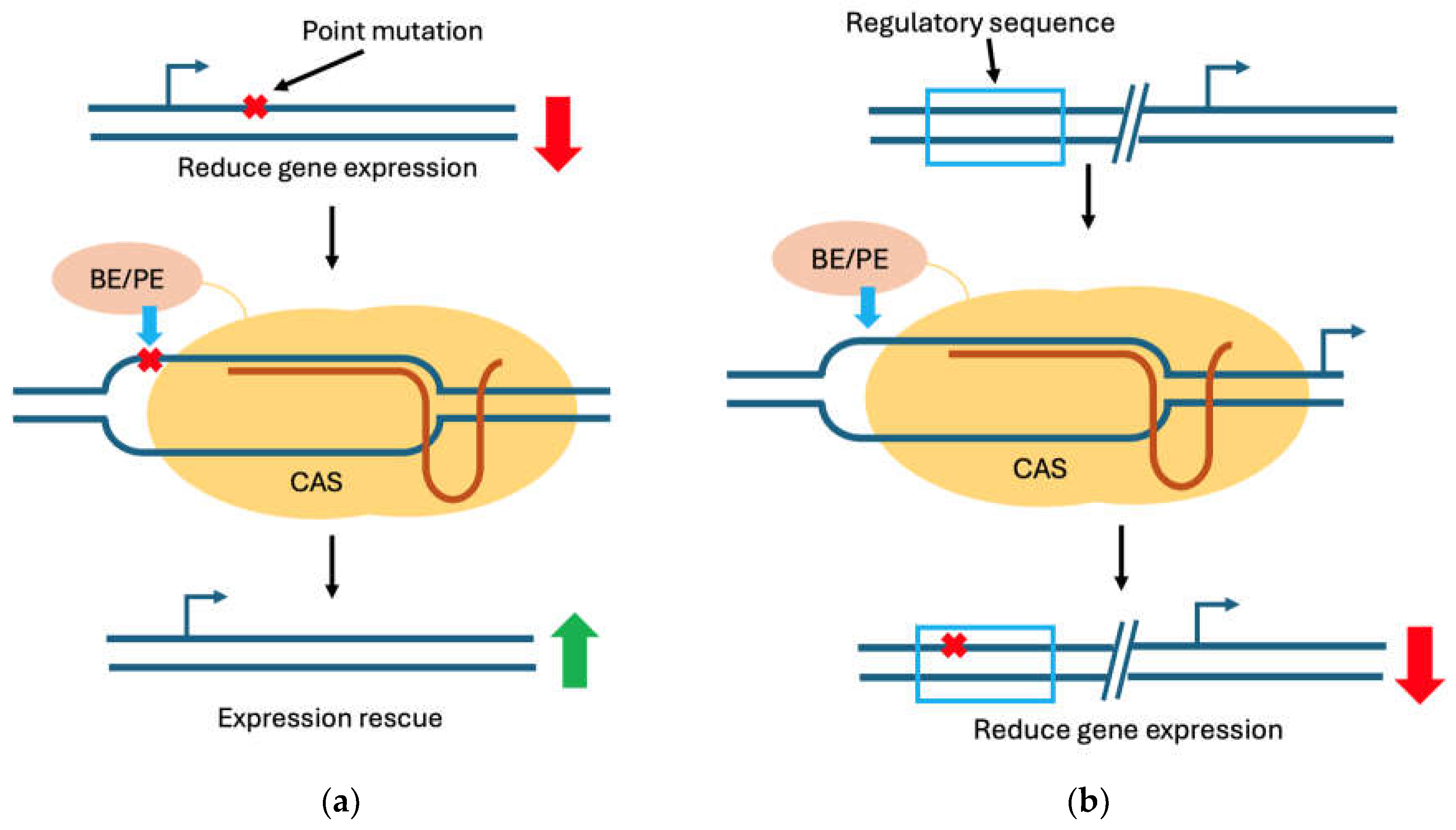 Preprints 210256 g001a