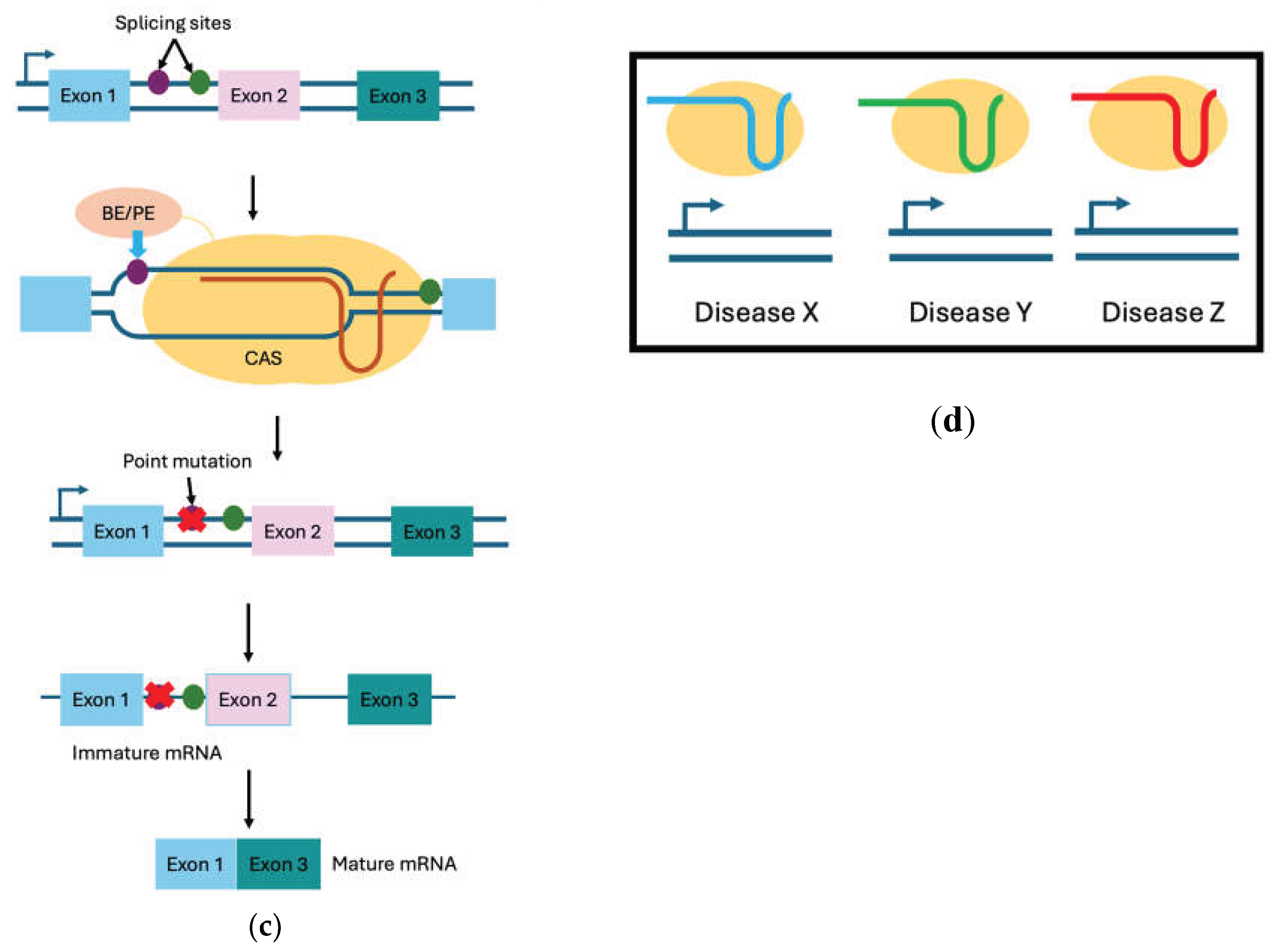Preprints 210256 g001b