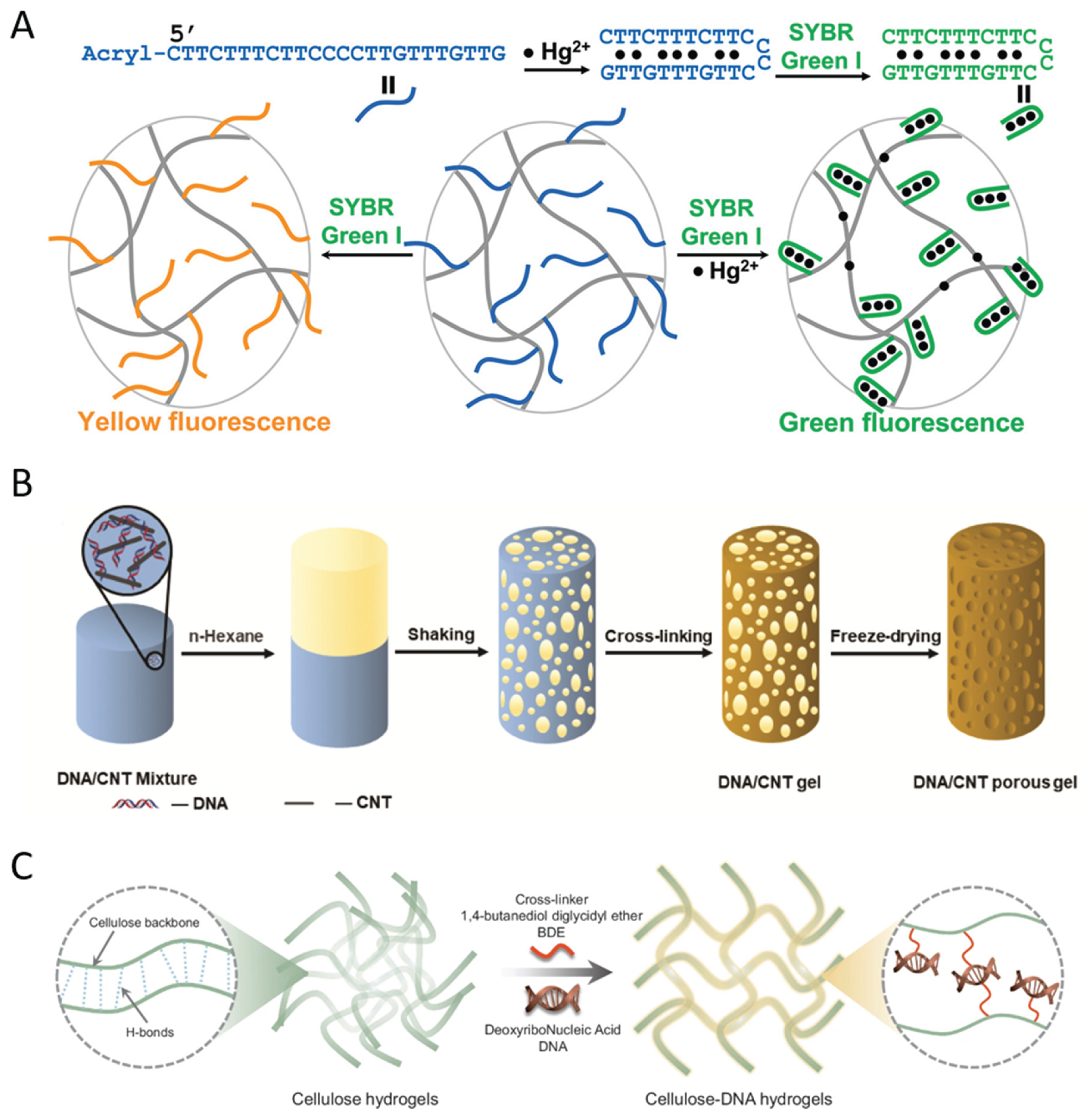 Preprints 226196 g003 Preprints 226196 g003