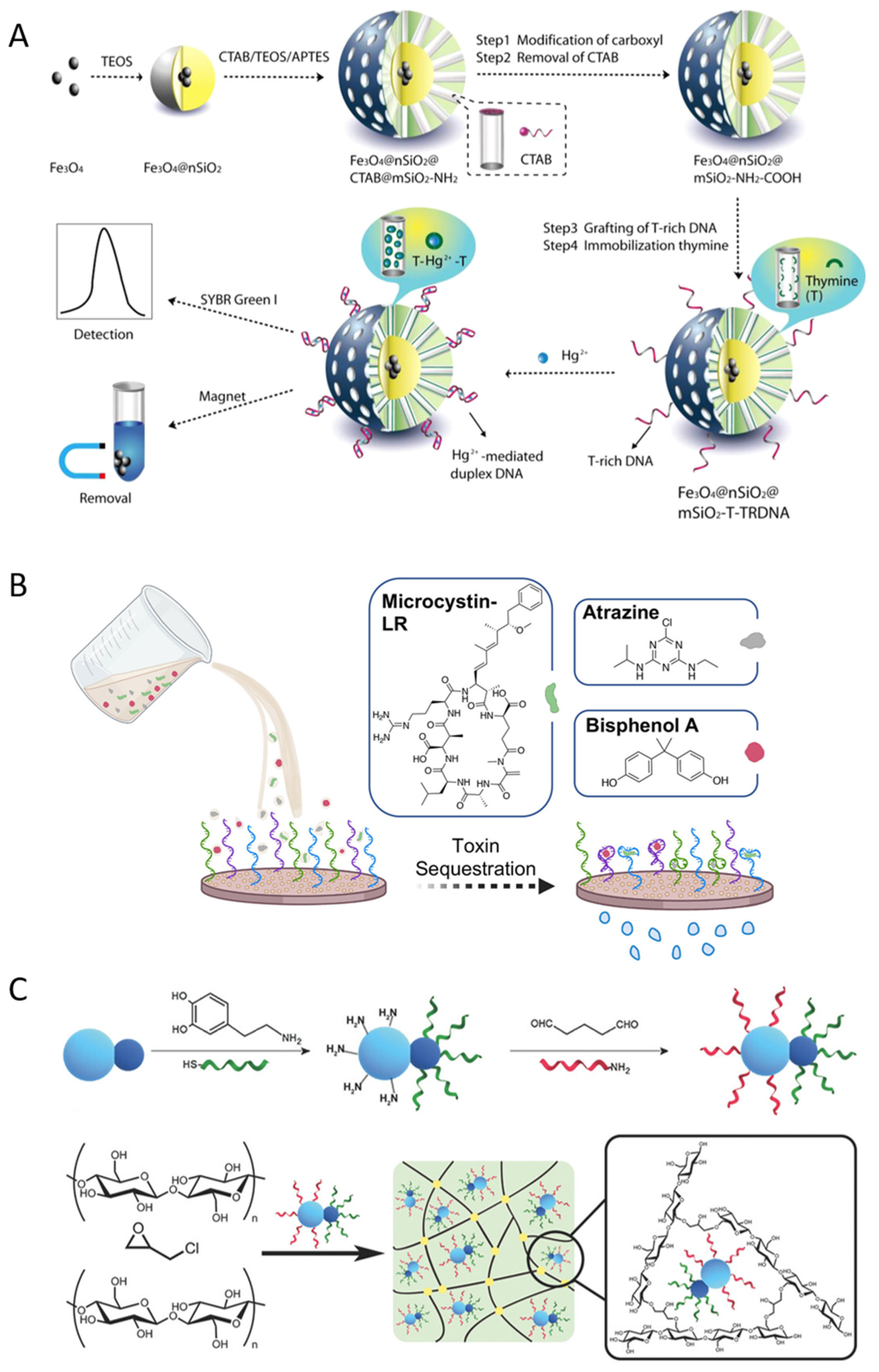 Preprints 226196 g004 Preprints 226196 g004