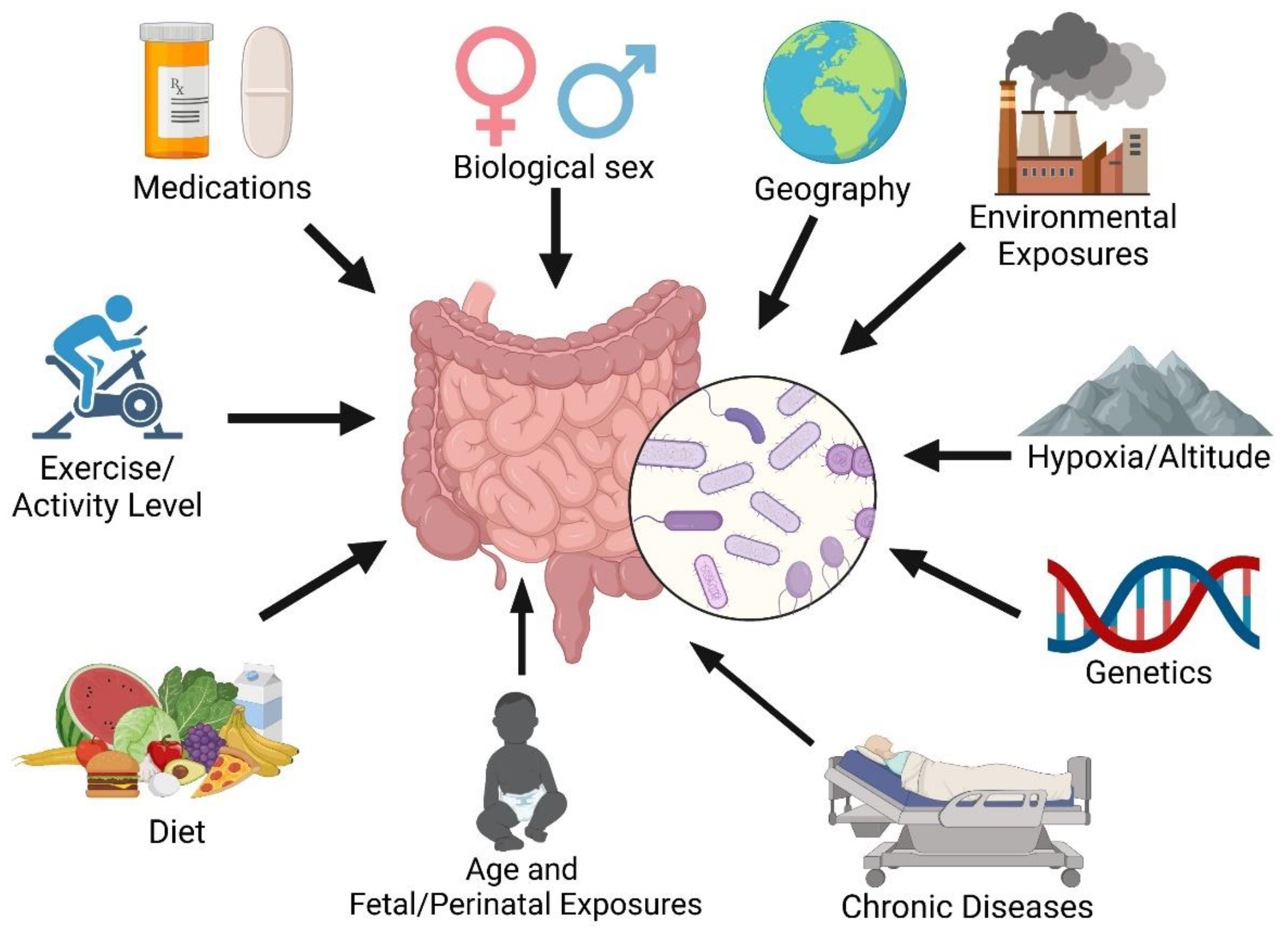 Preprints 152928 g001
