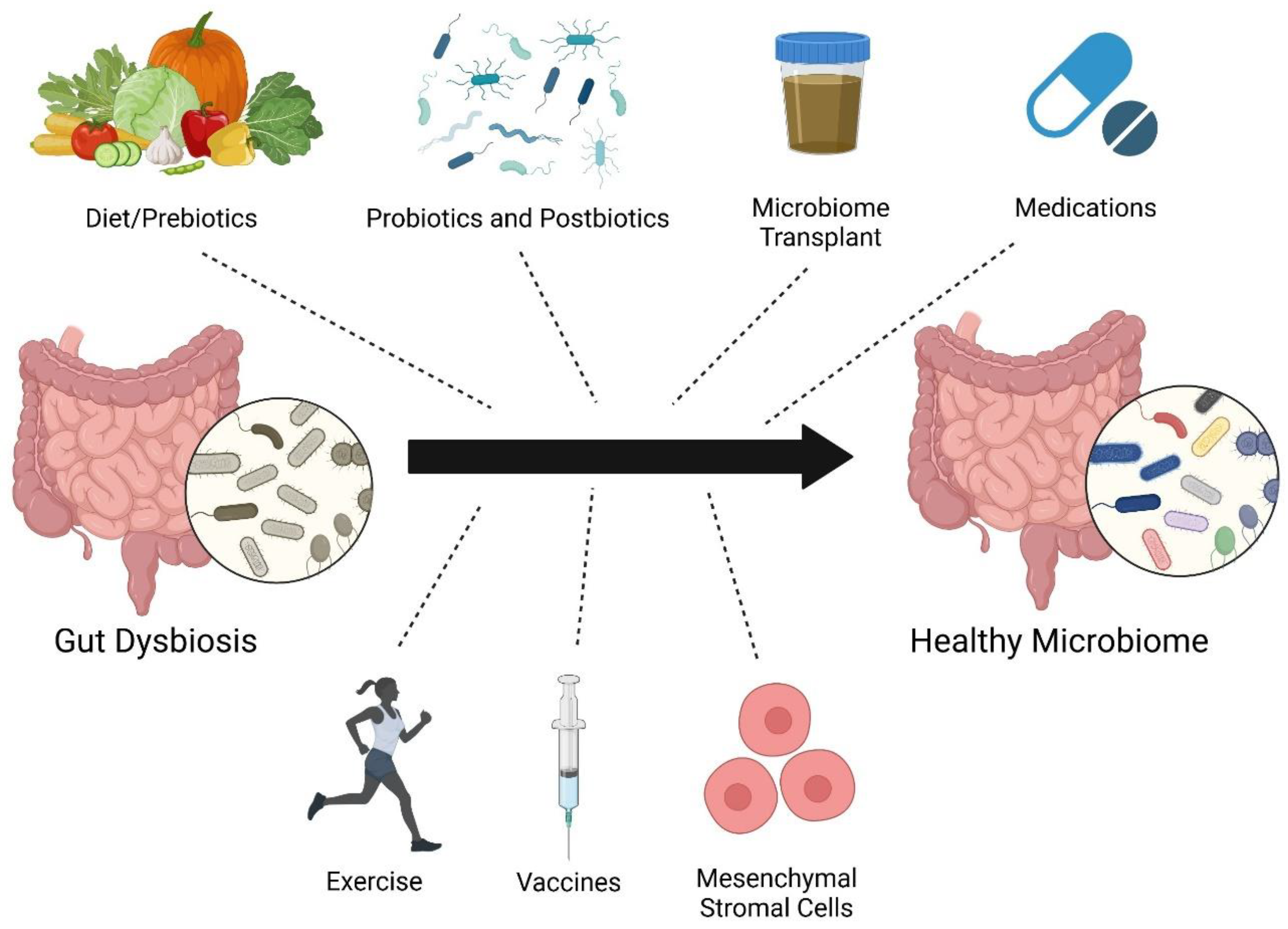 Preprints 152928 g002