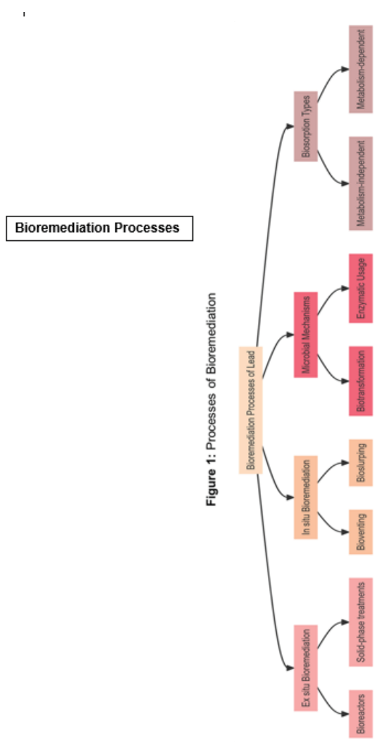 Preprints 137454 i002