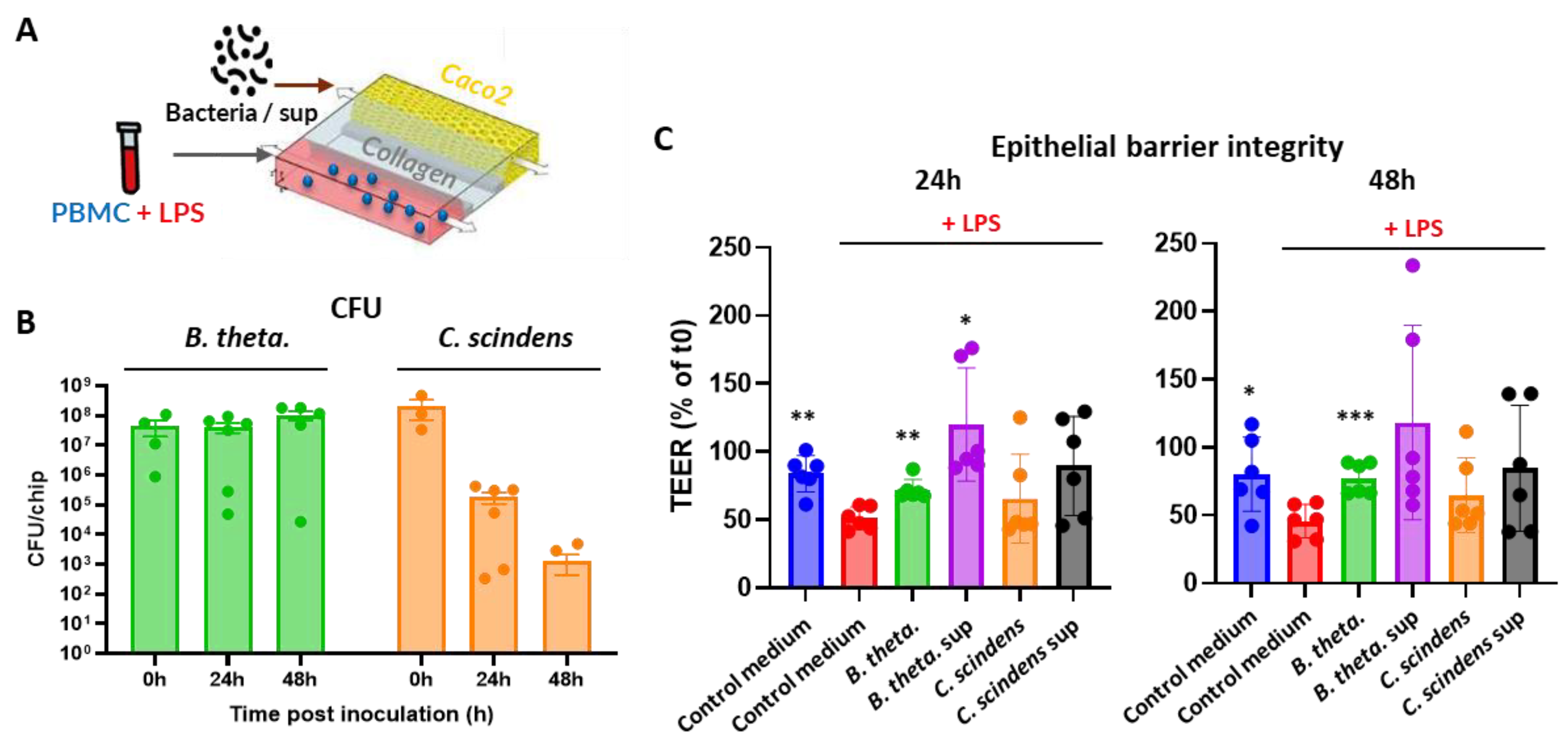 Preprints 177312 g002
