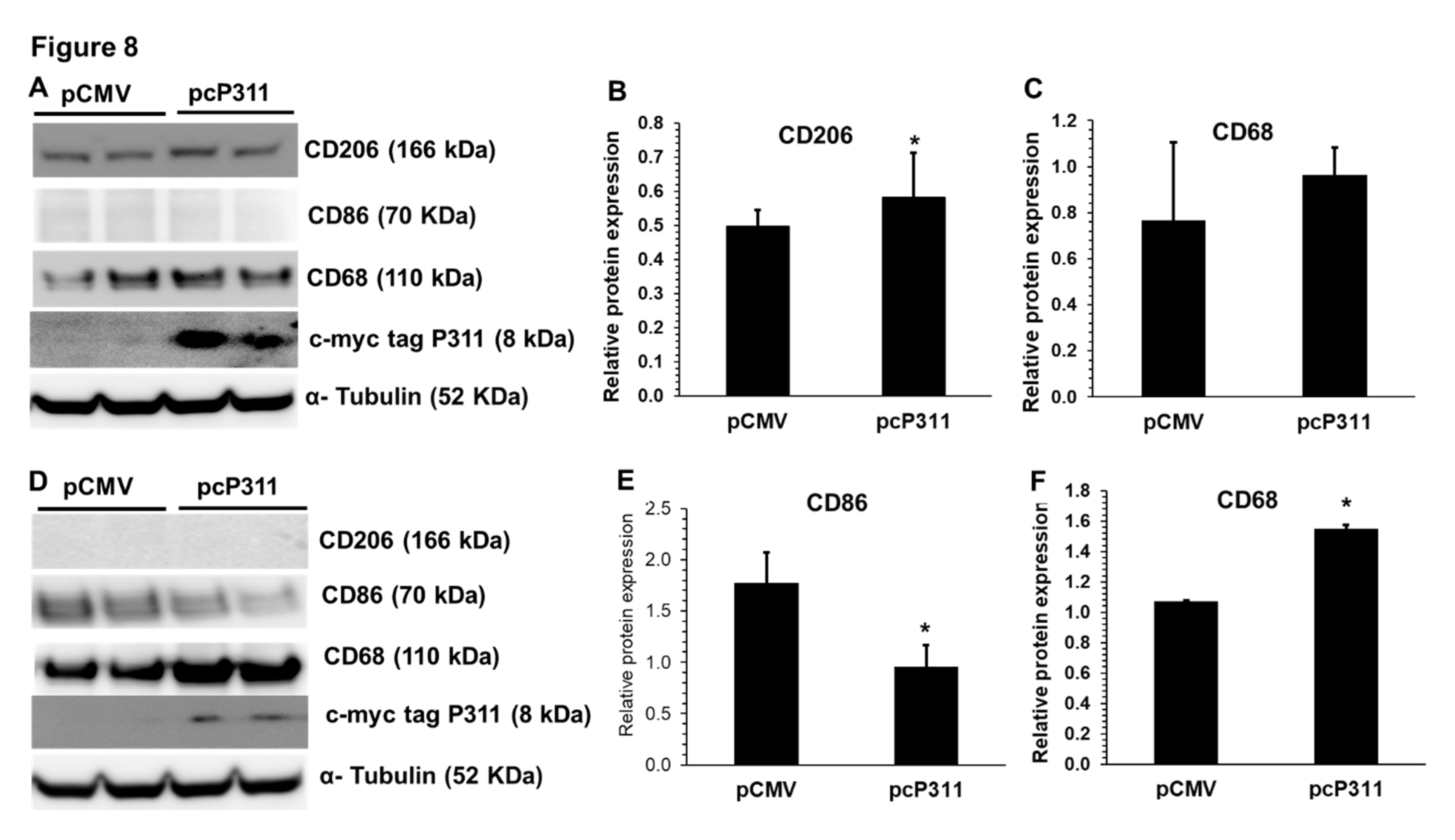 P311 Curtails Inflammation Through M2-Type Polarization of Macrophages ...