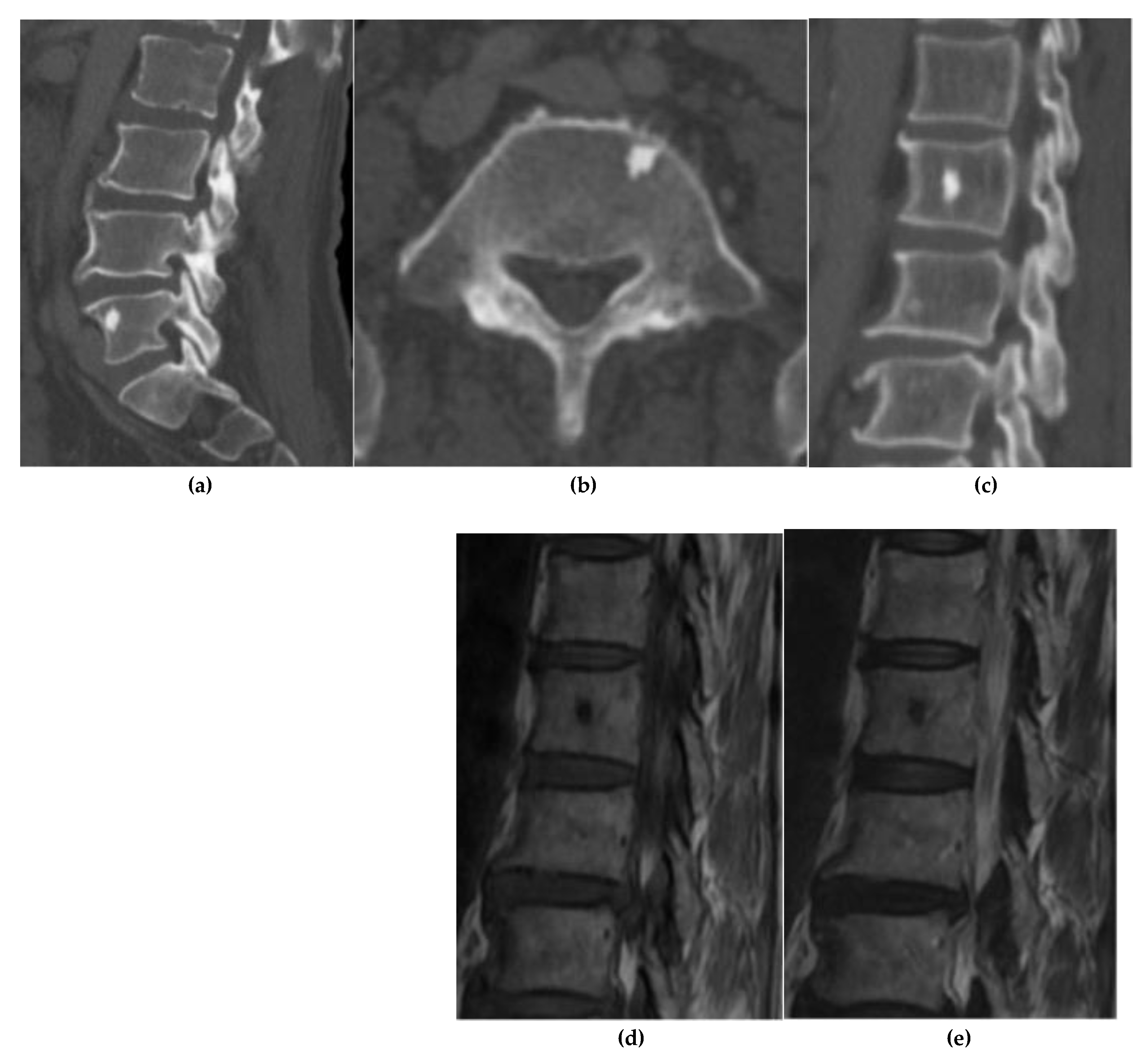 Preprints 180579 g001
