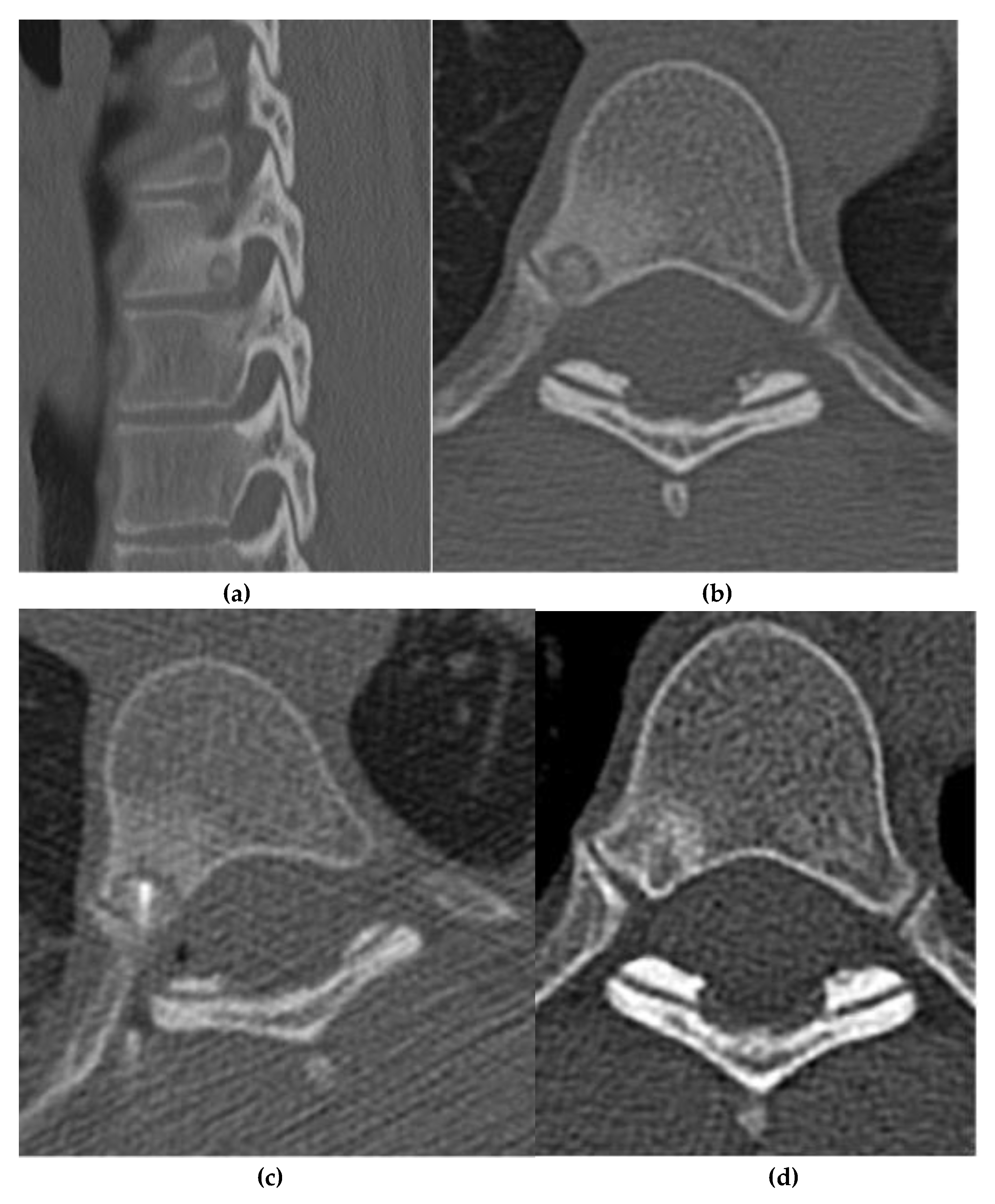 Preprints 180579 g002