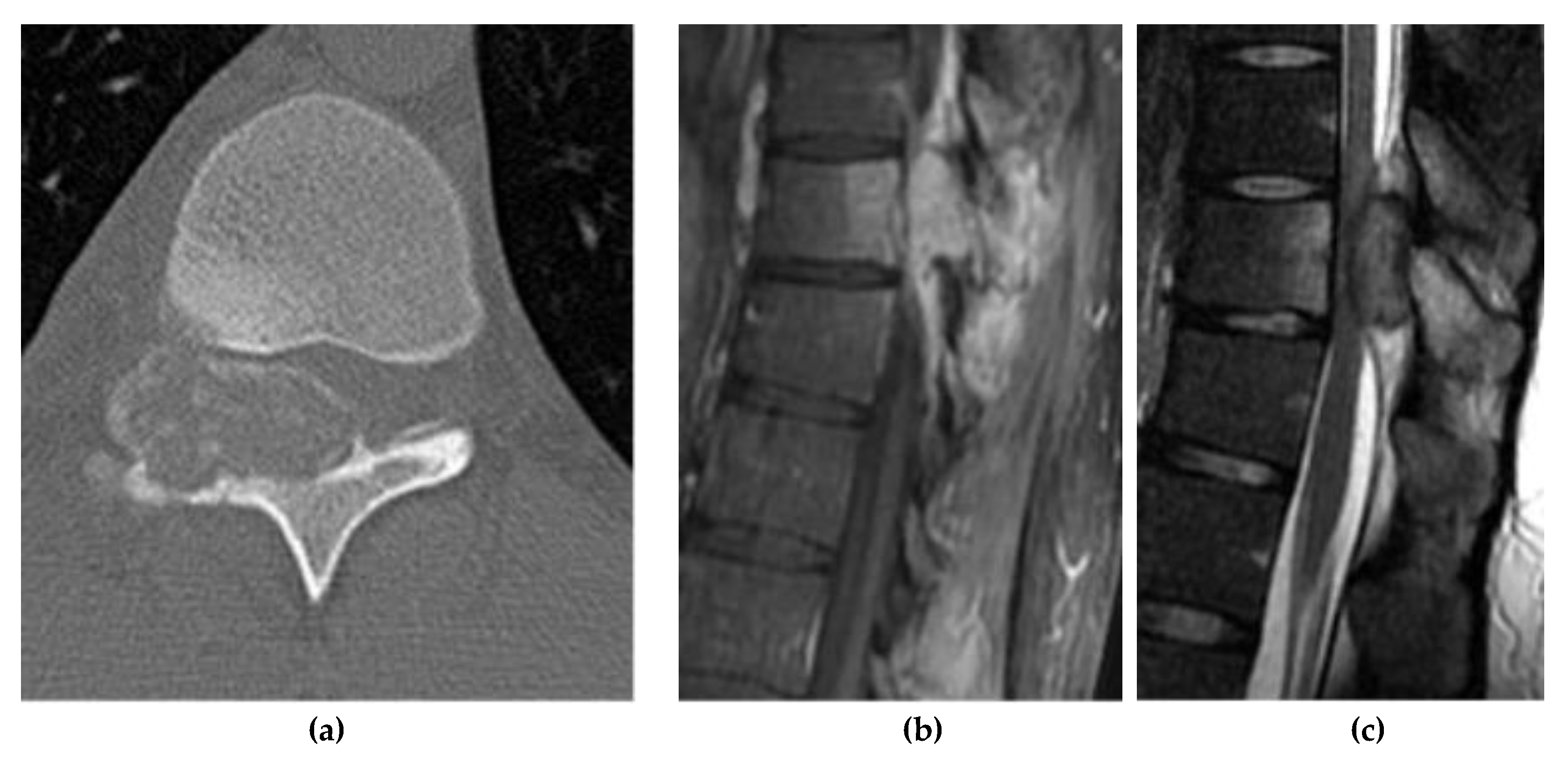 Preprints 180579 g004
