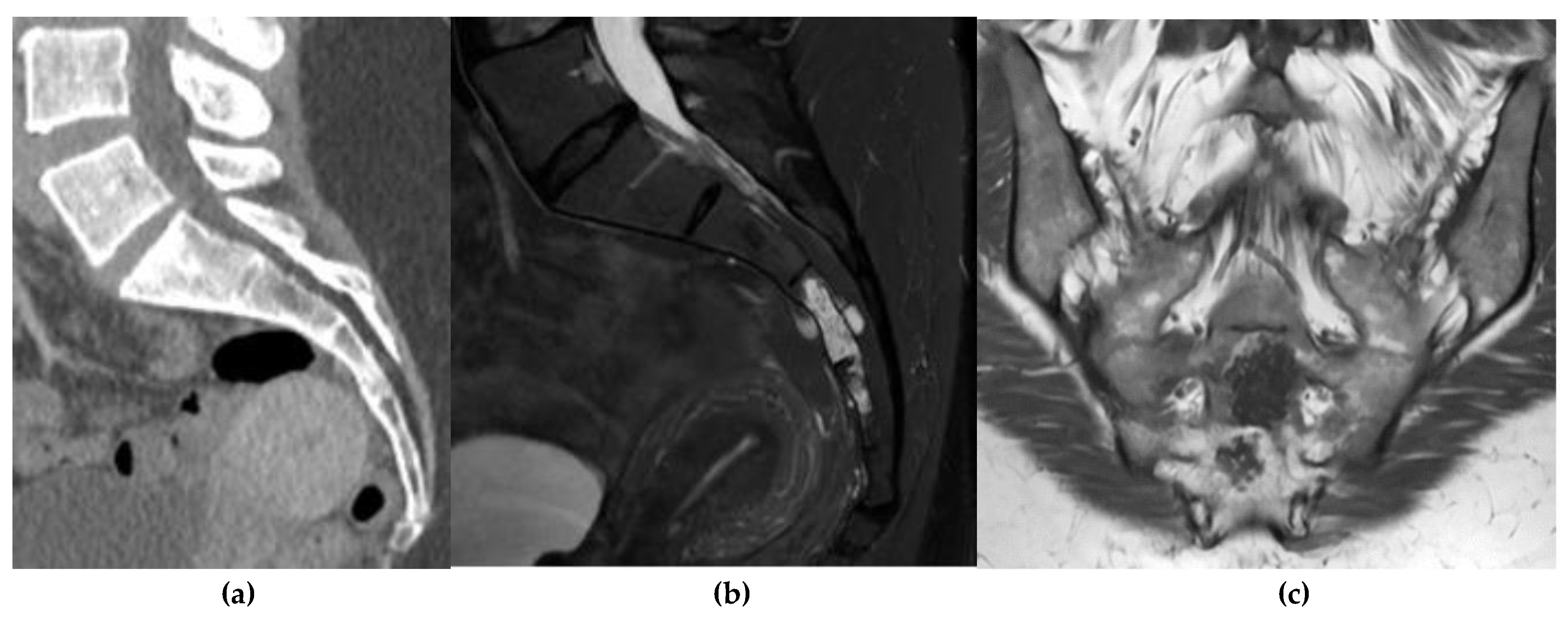 Preprints 180579 g010