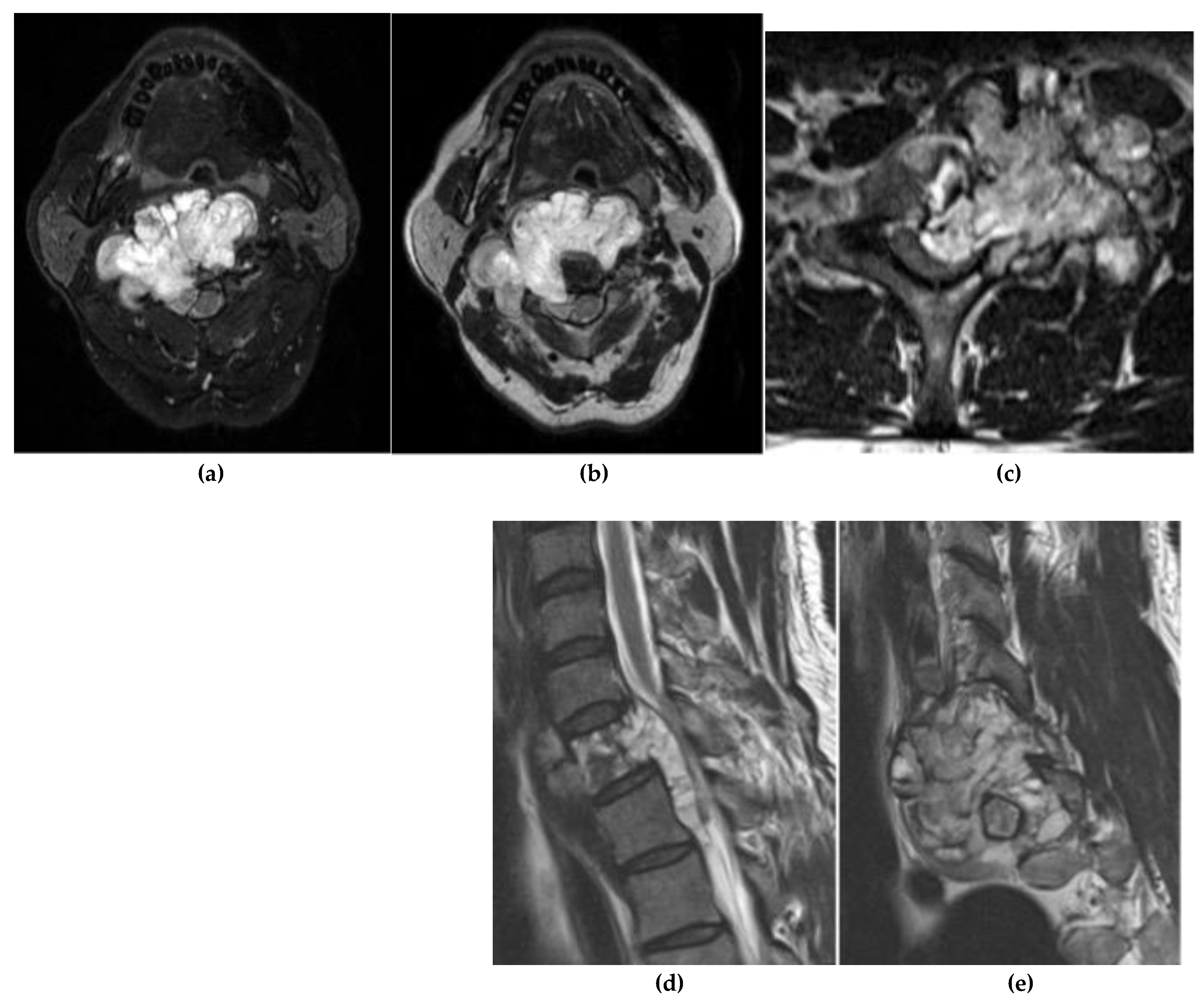 Preprints 180579 g011