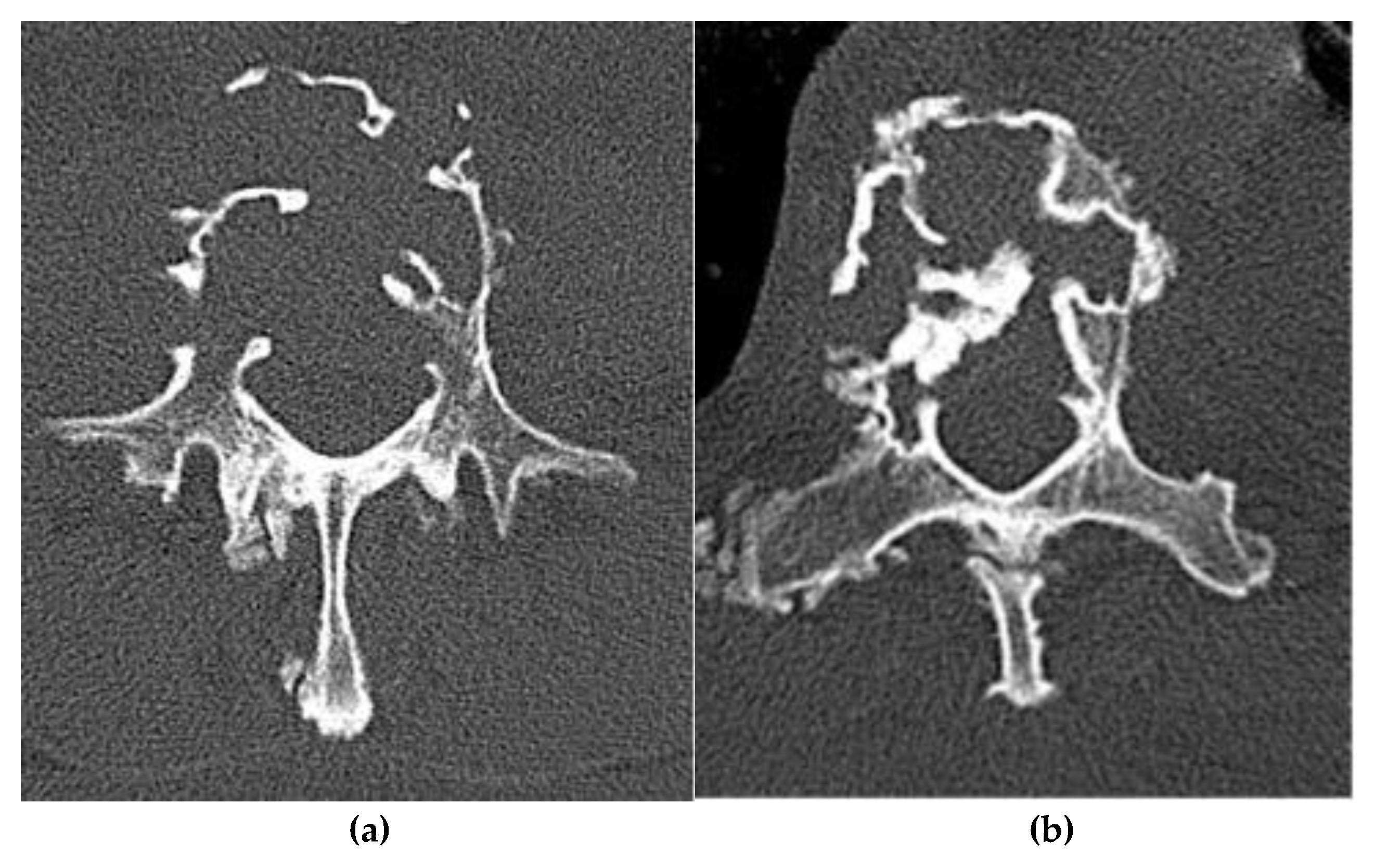 Preprints 180579 g013