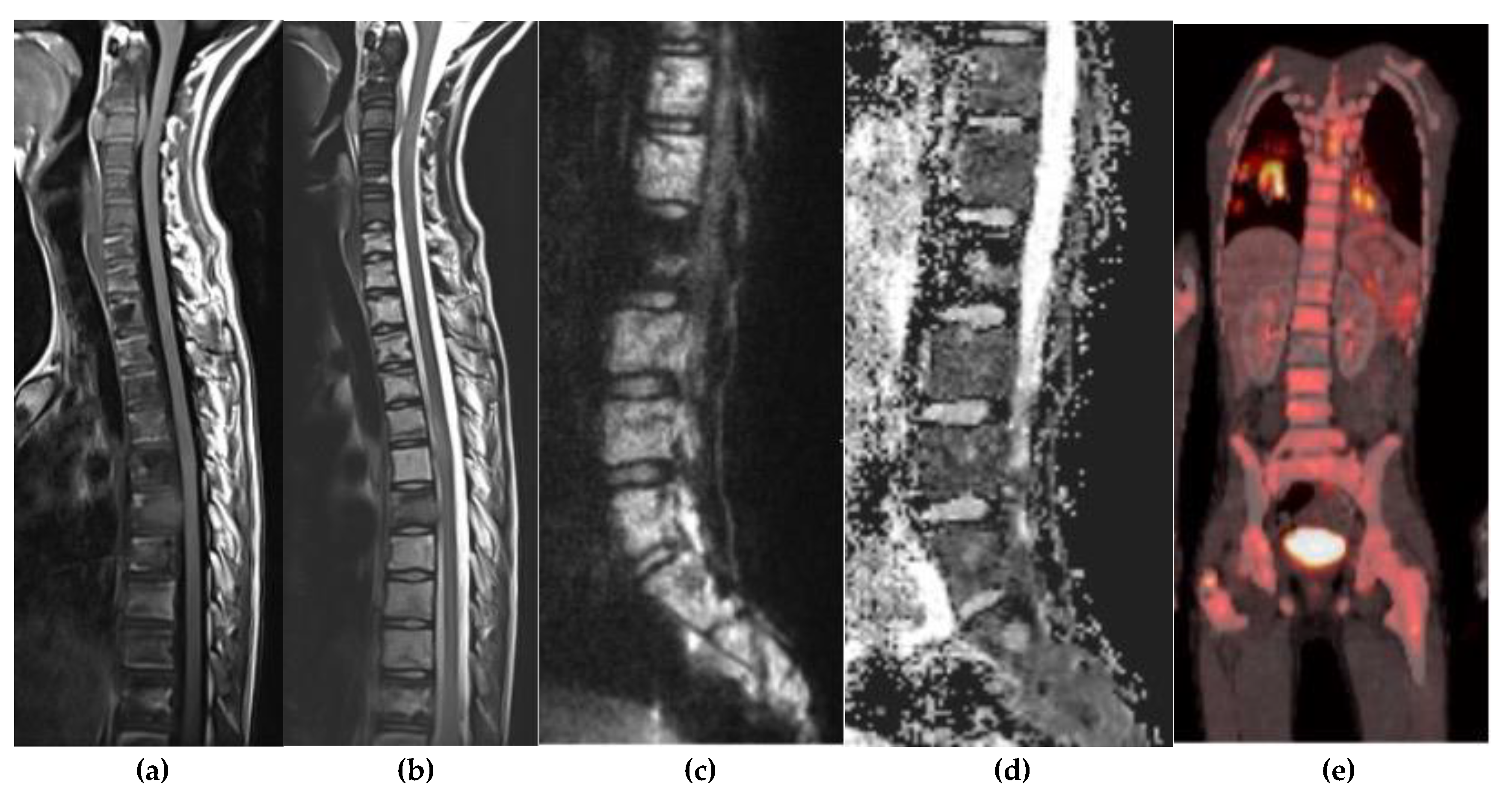 Preprints 180579 g014