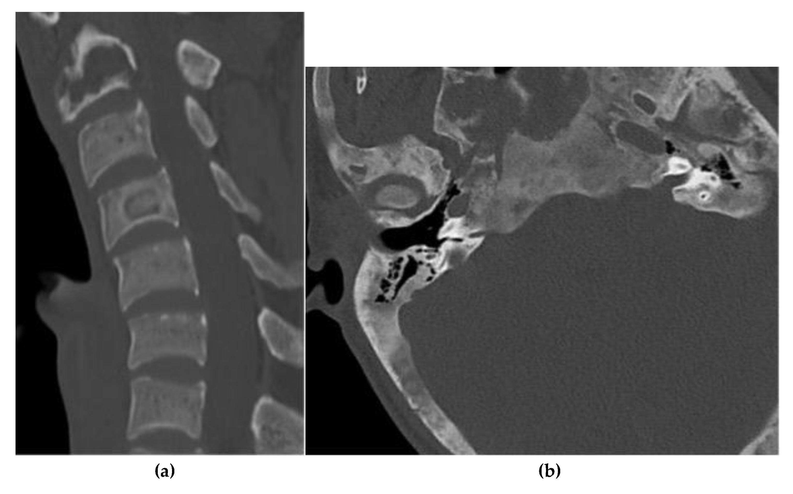 Preprints 180579 g019
