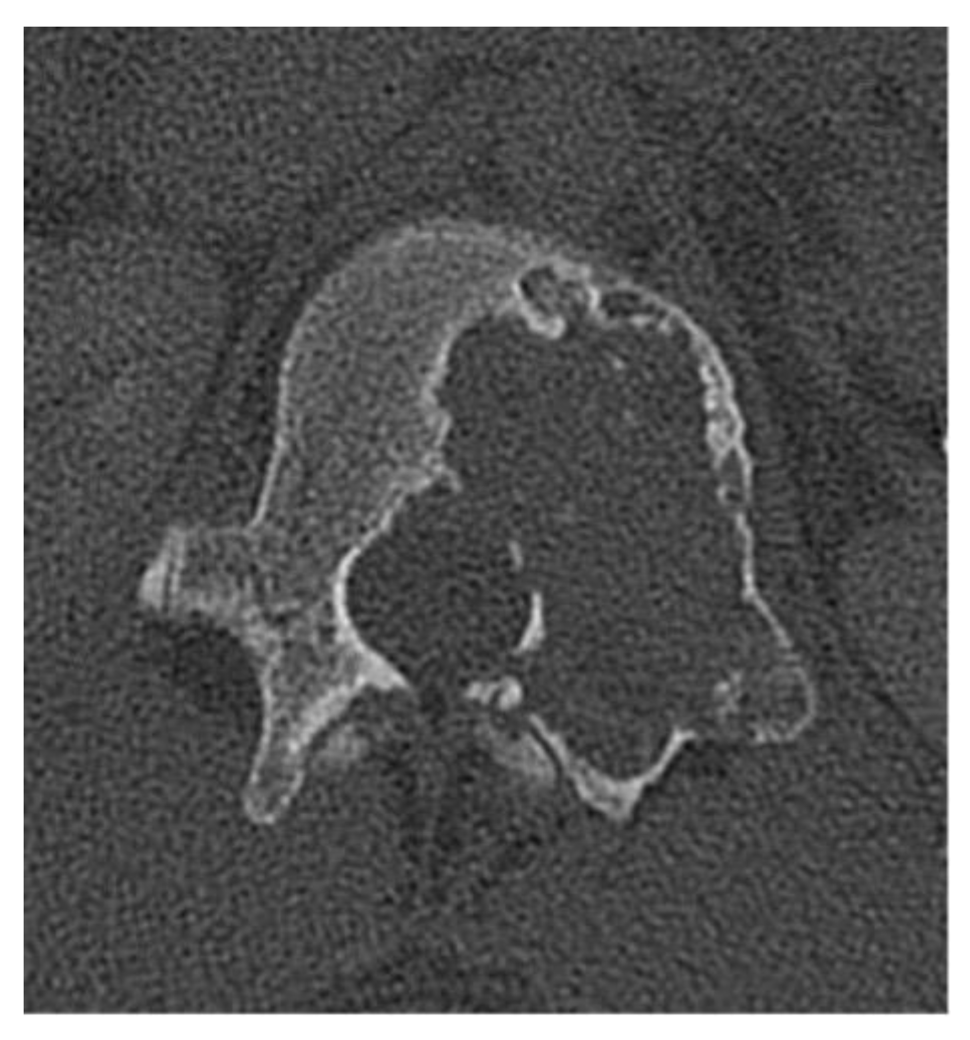 Preprints 180579 g021