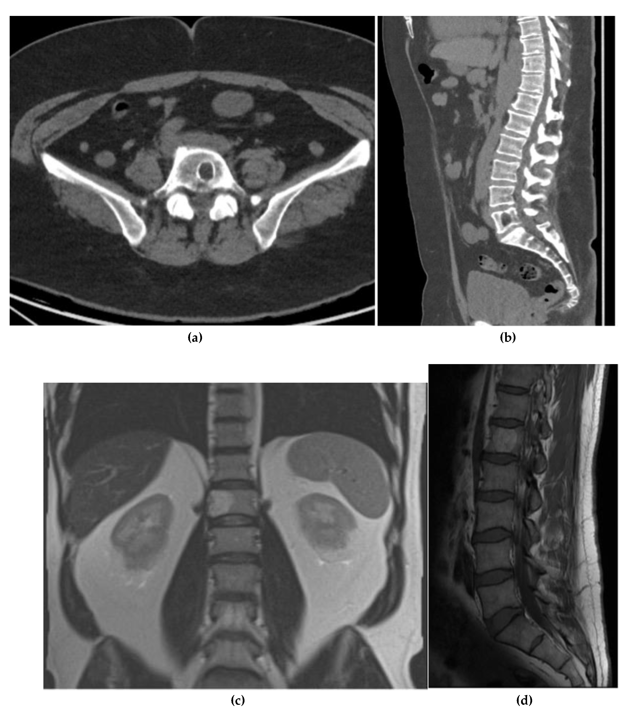 Preprints 180579 g022