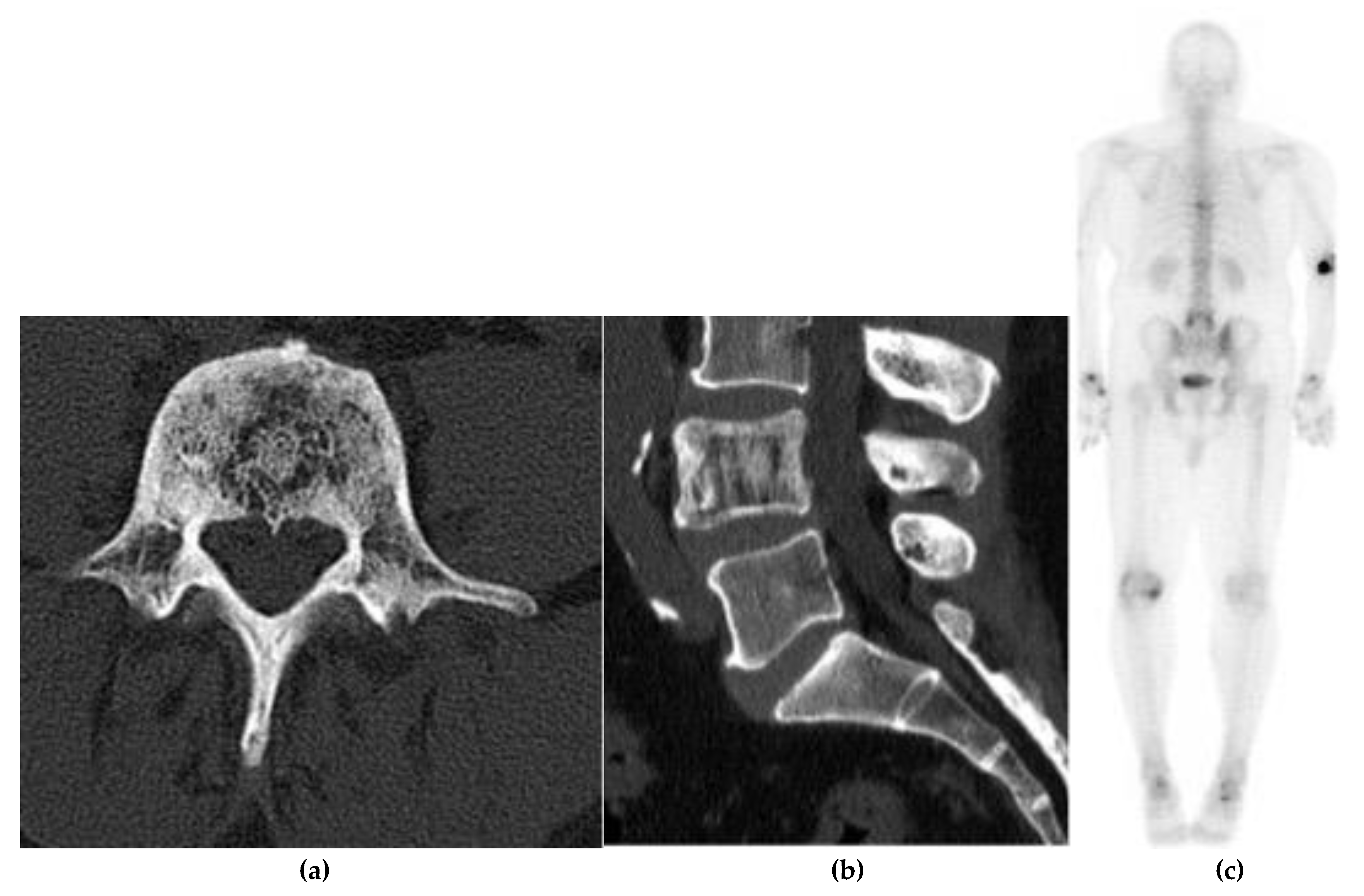 Preprints 180579 g023