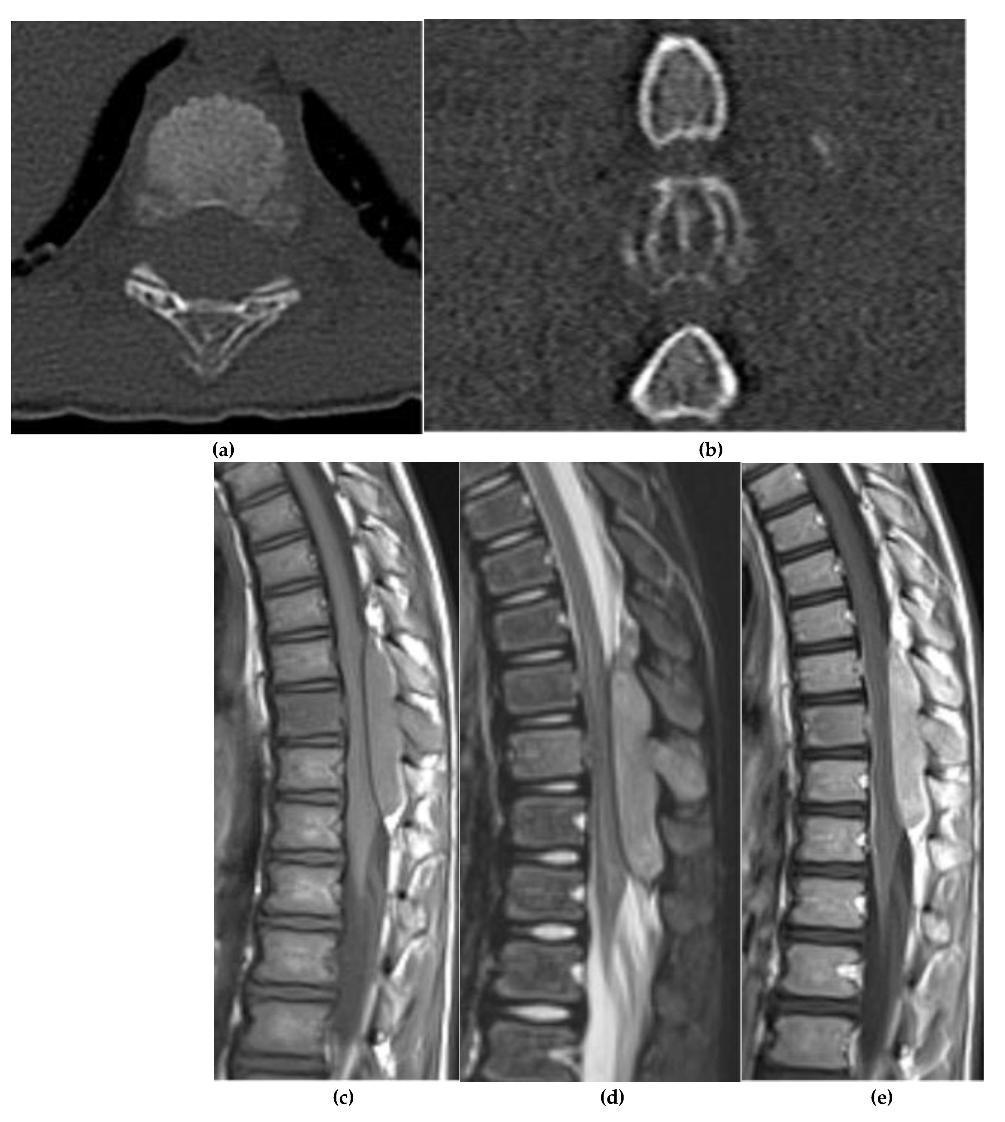 Preprints 180579 g024