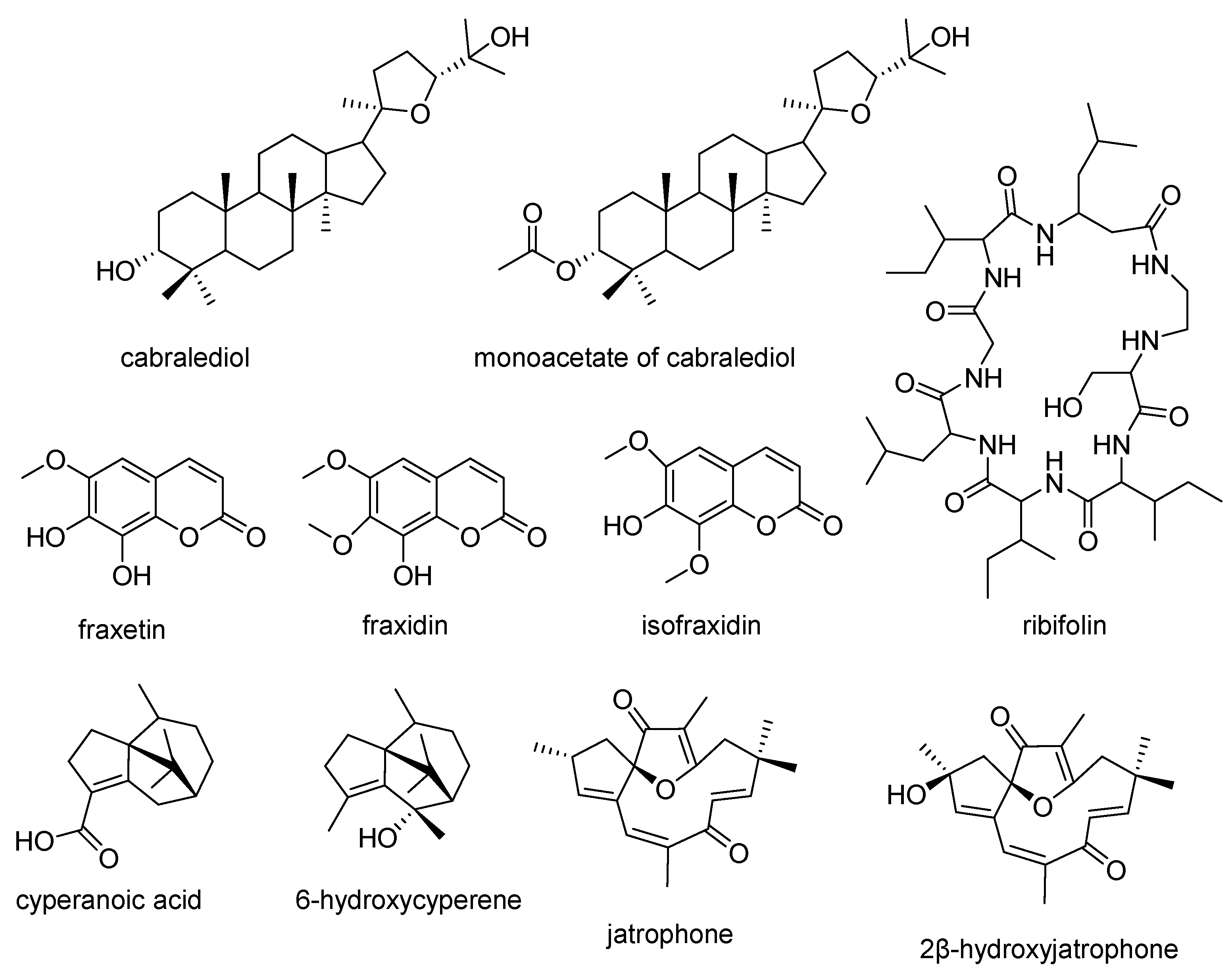 Preprints 203921 g001