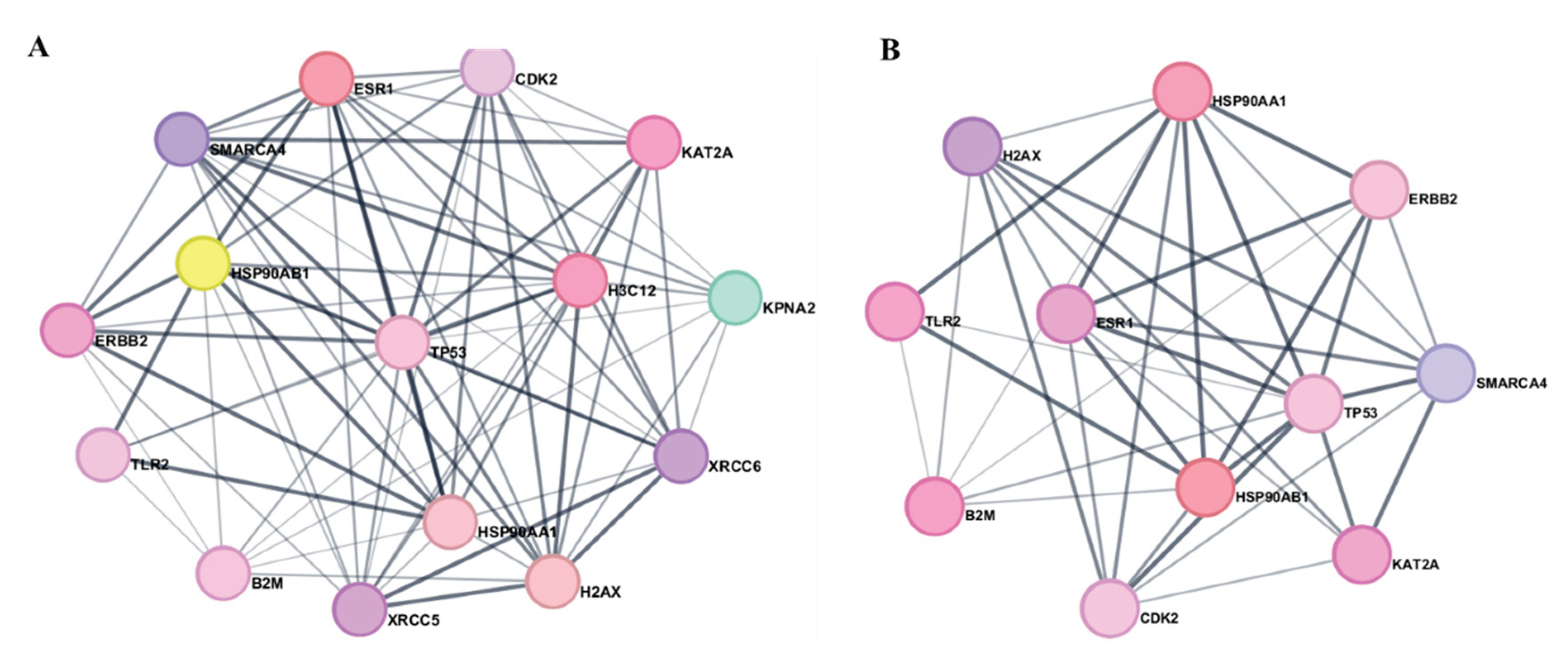 Preprints 203921 g003