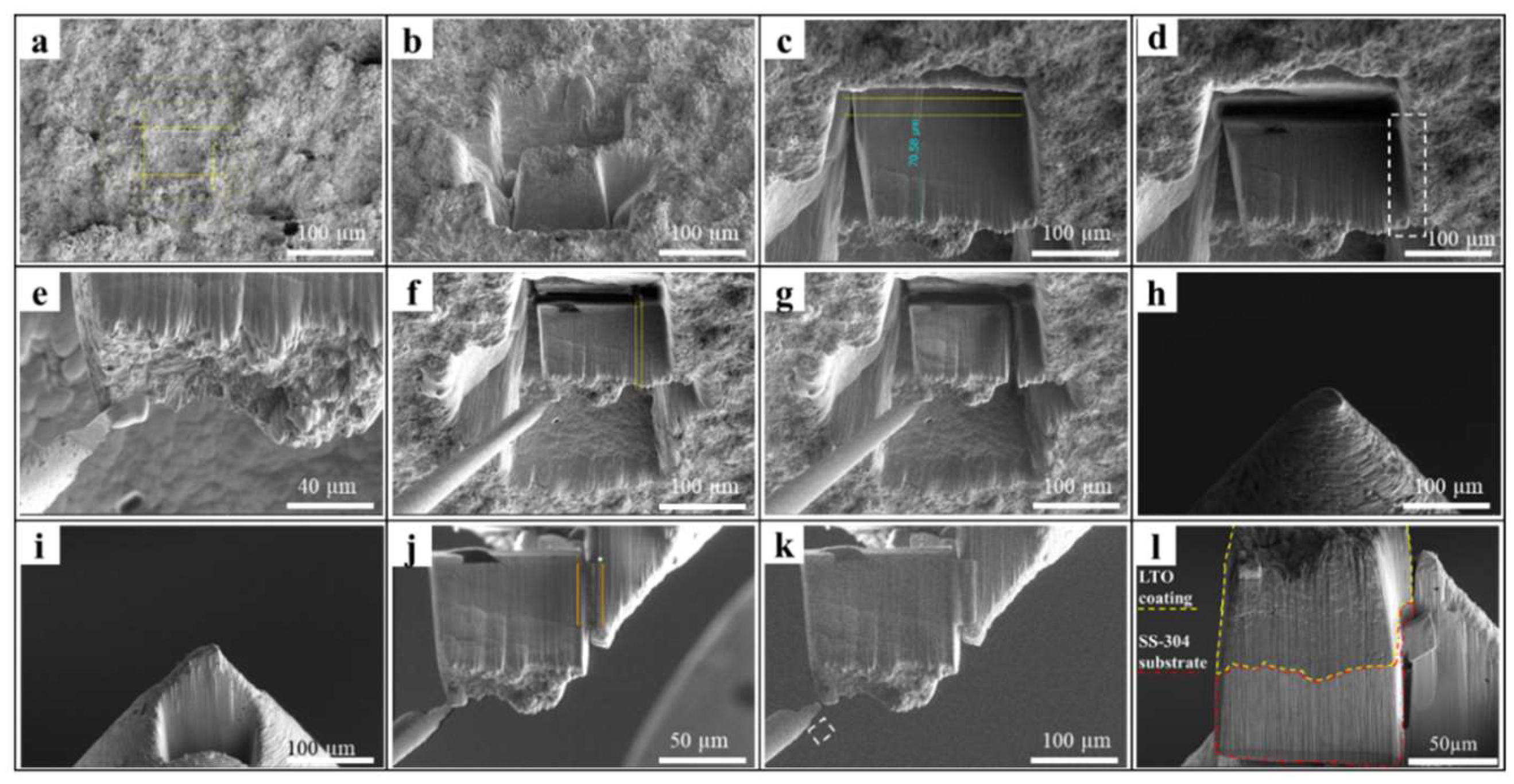 Preprints 121231 g002