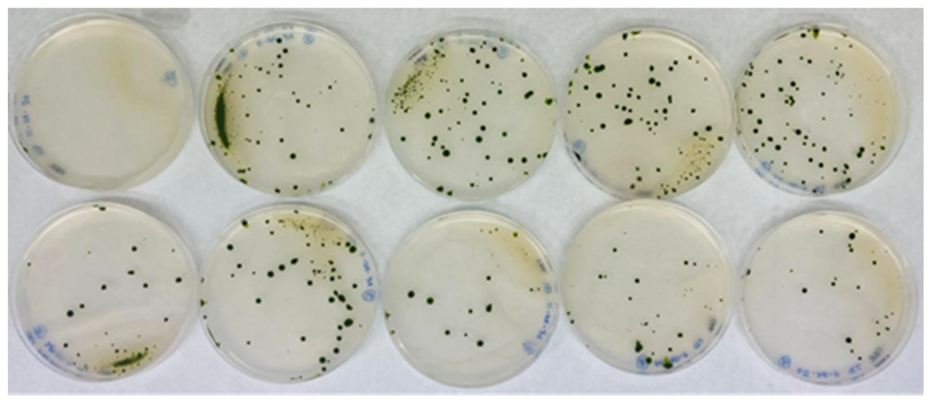 Preprints 157107 g002