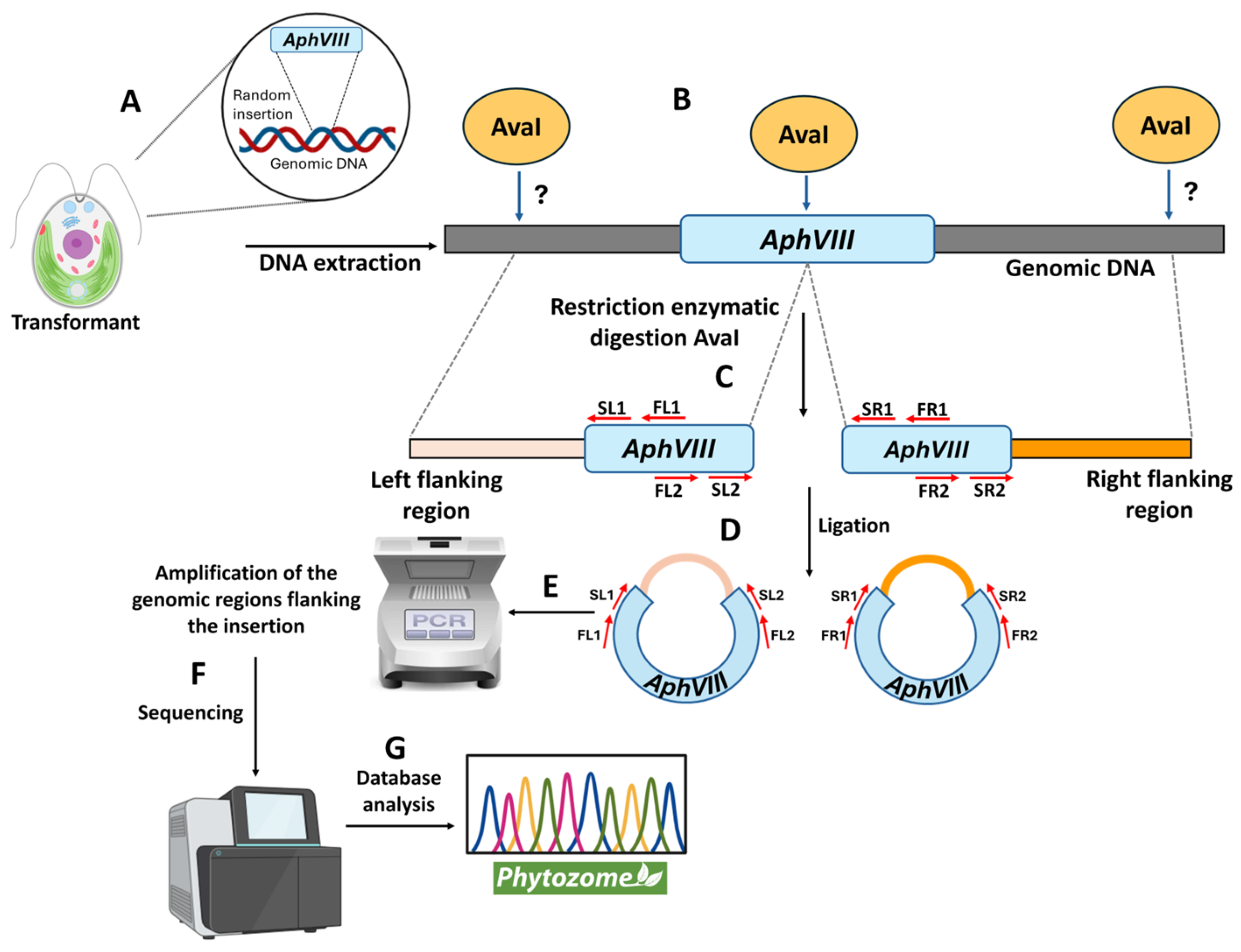 Preprints 157107 g005