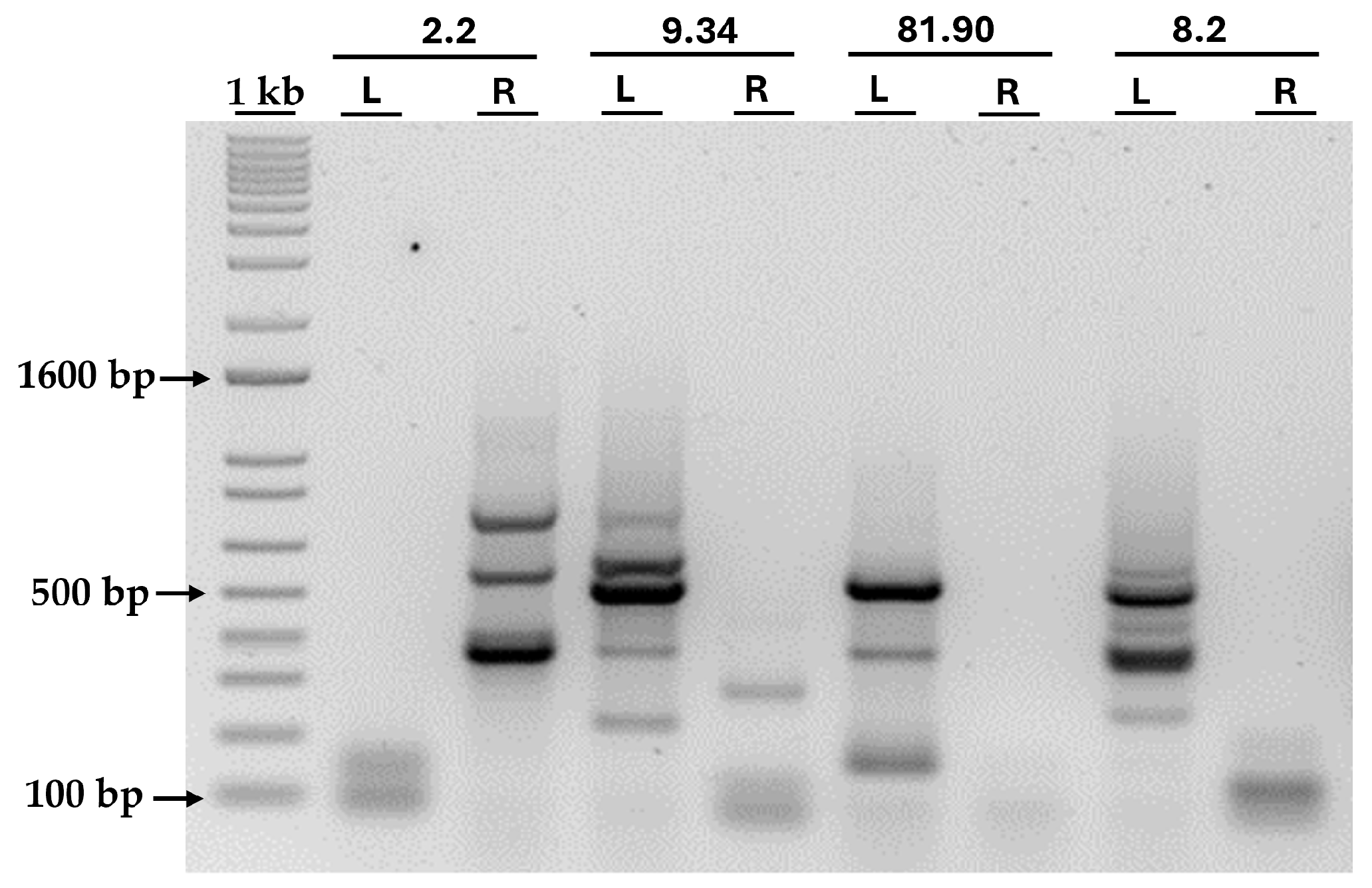 Preprints 157107 g006