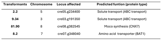 Preprints 157107 i001