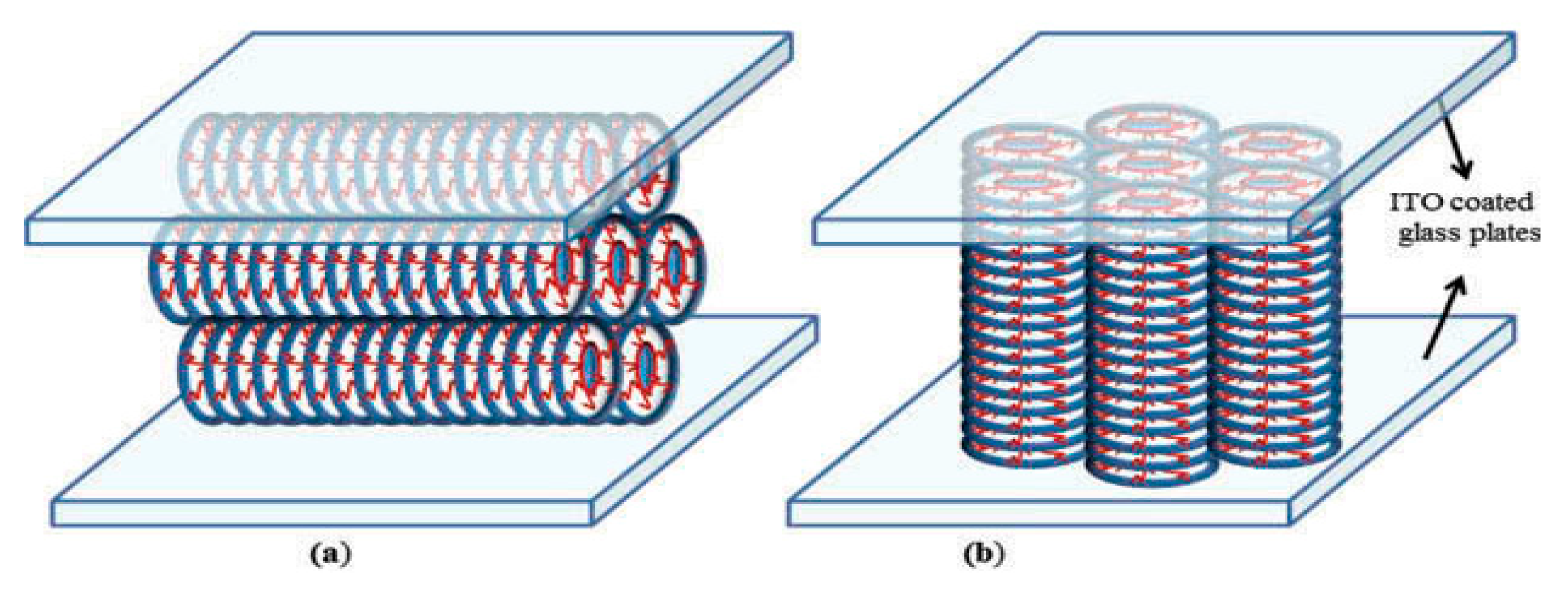 Preprints 158779 g002