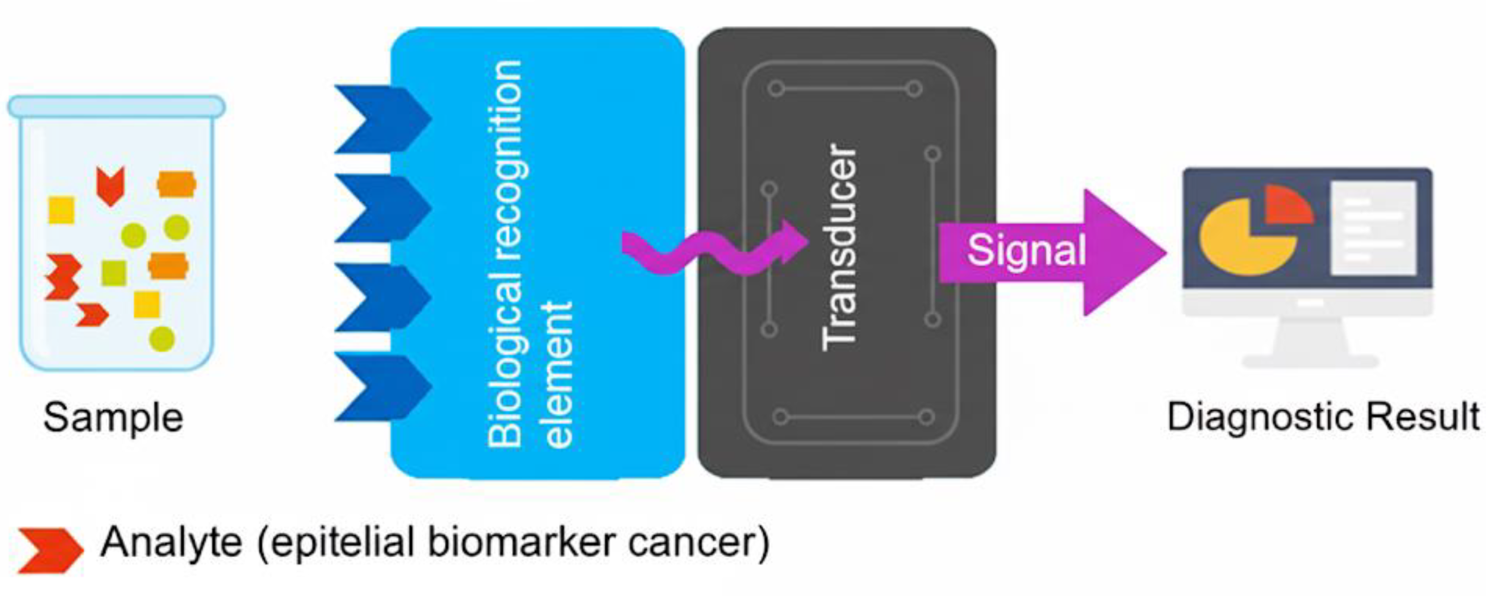 Preprints 178075 g001