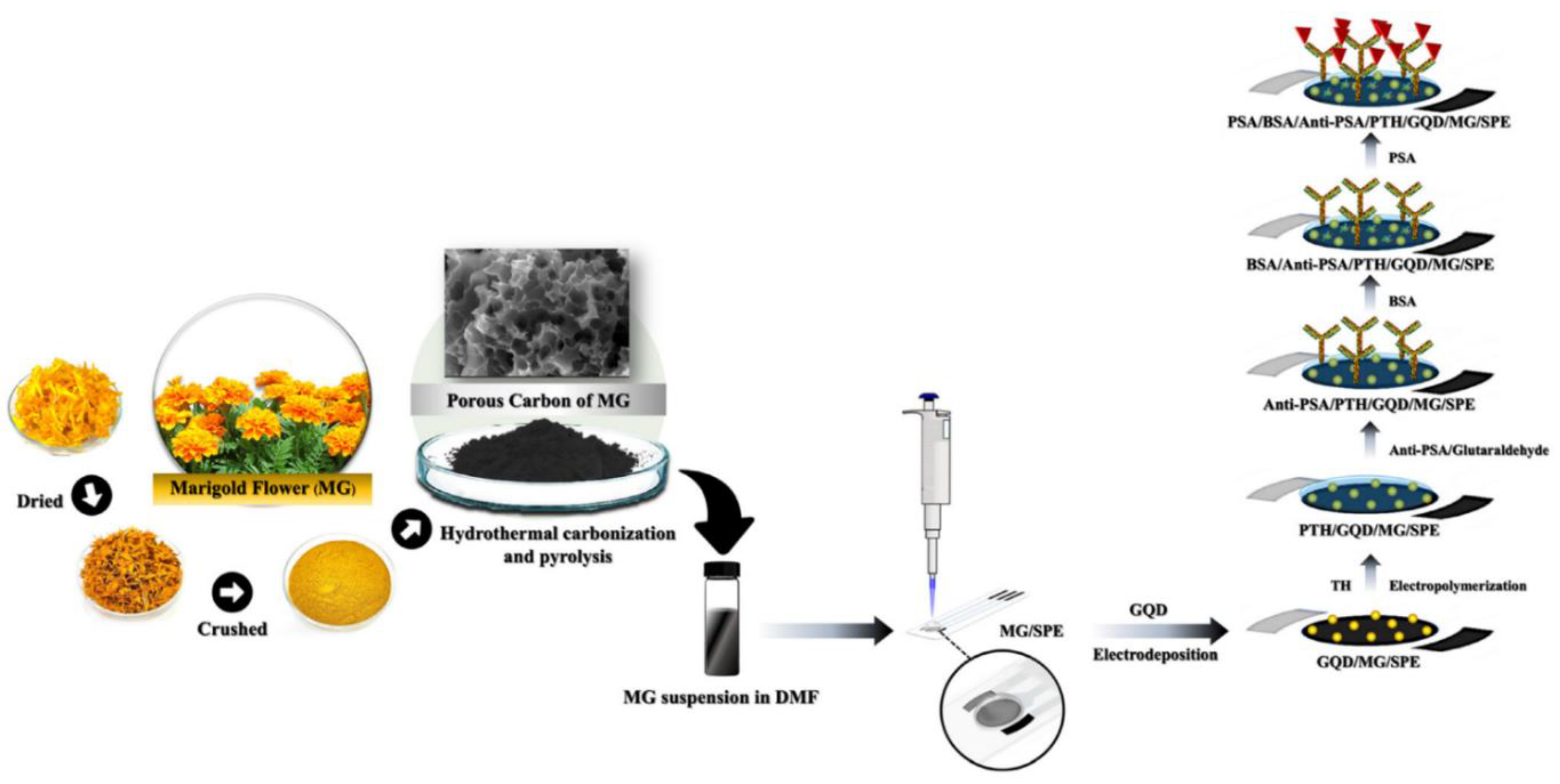 Preprints 178075 g005