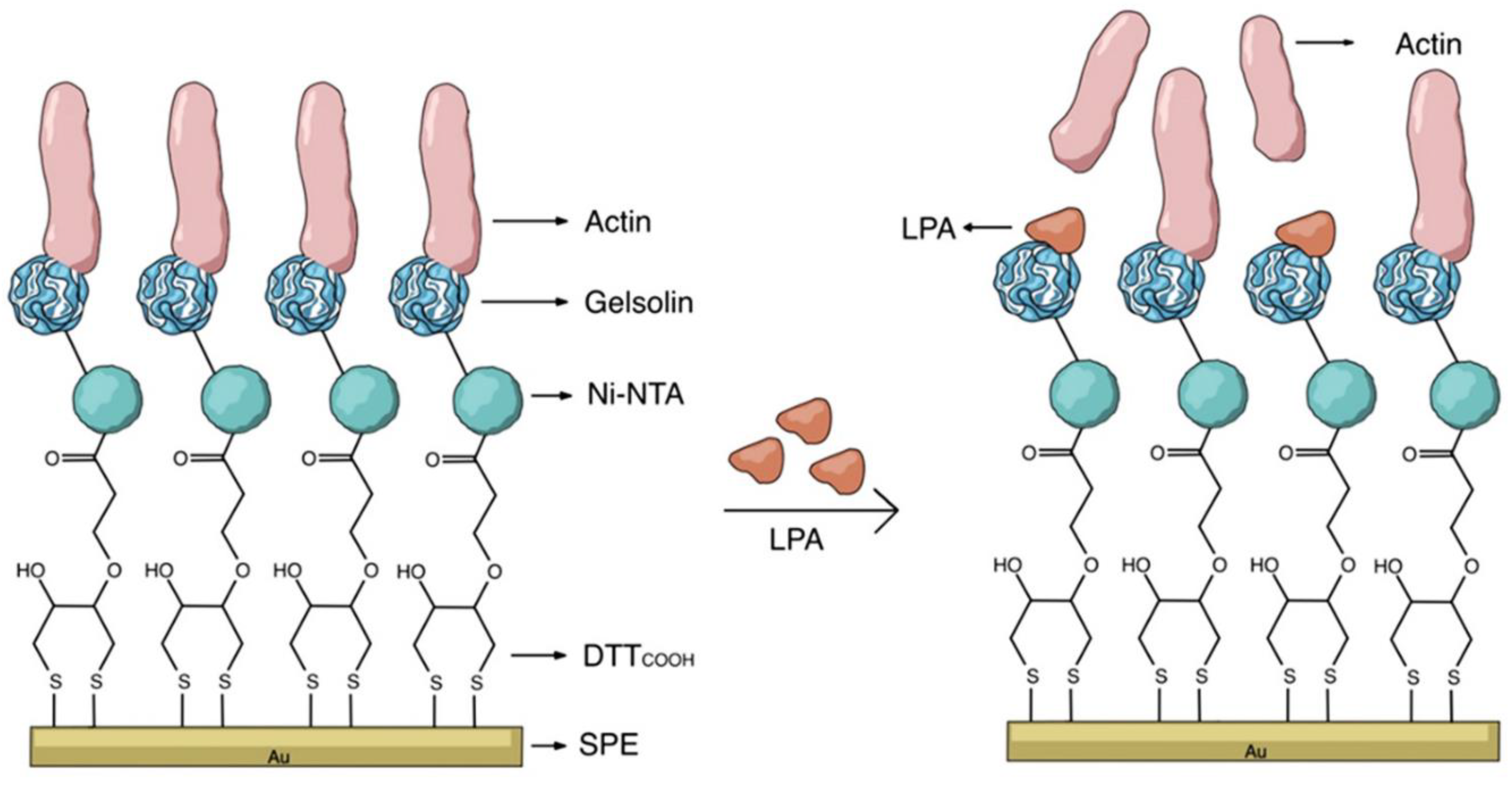 Preprints 178075 g010