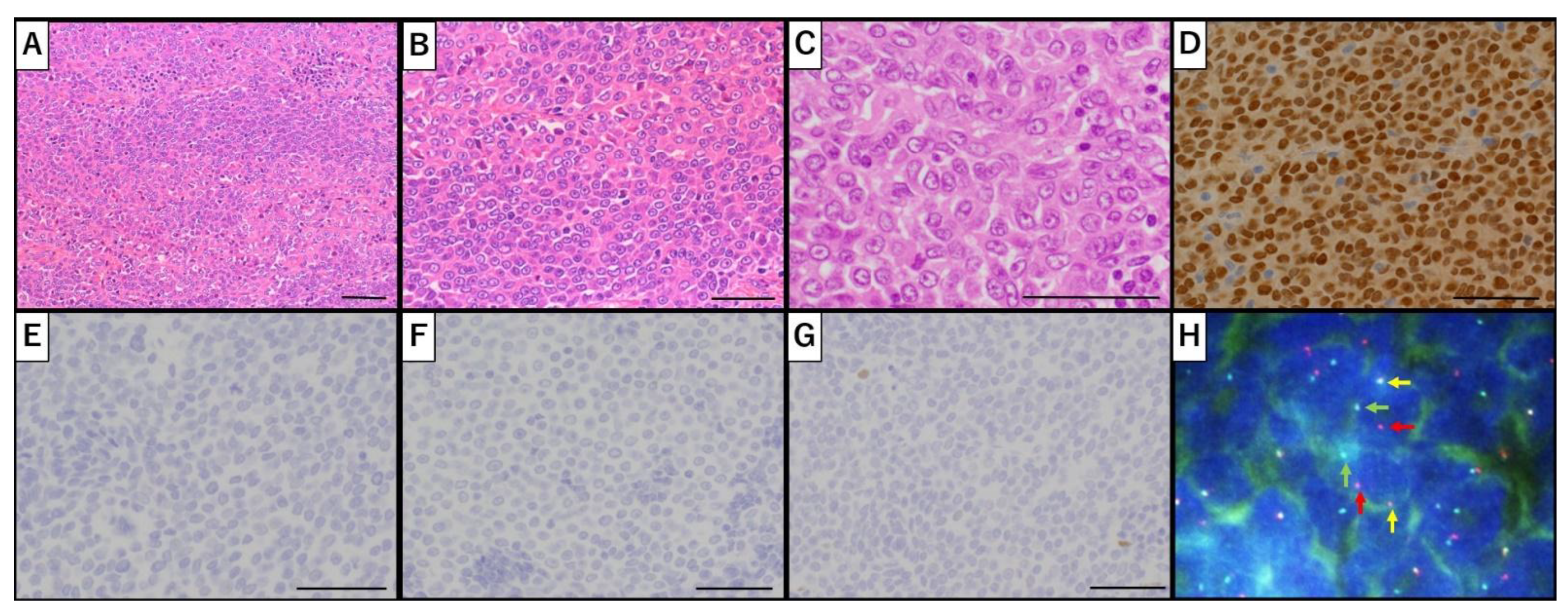Preprints 189981 g002
