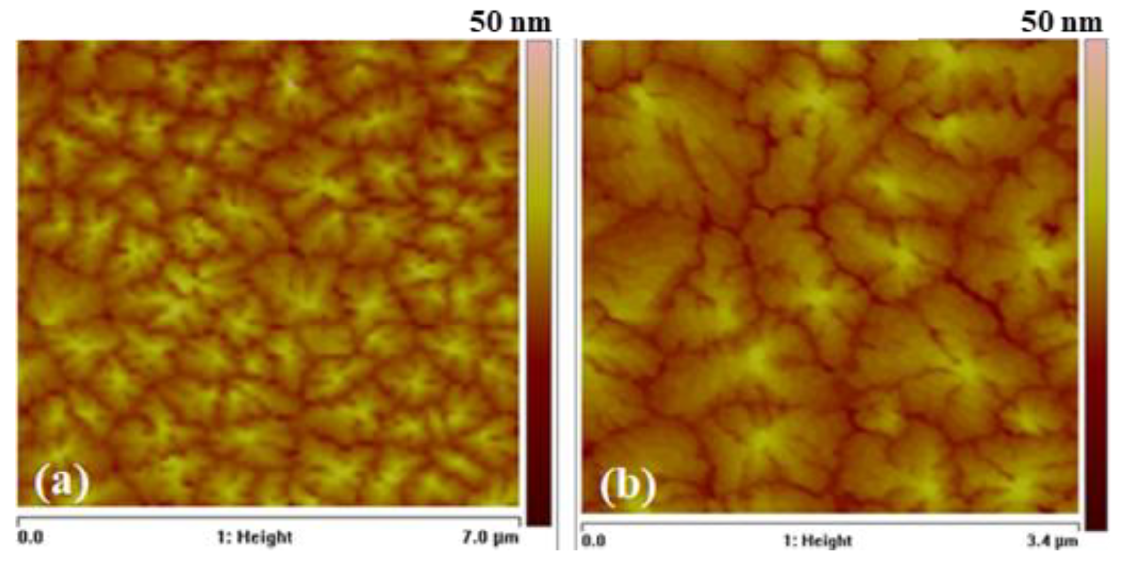 Preprints 172188 g002