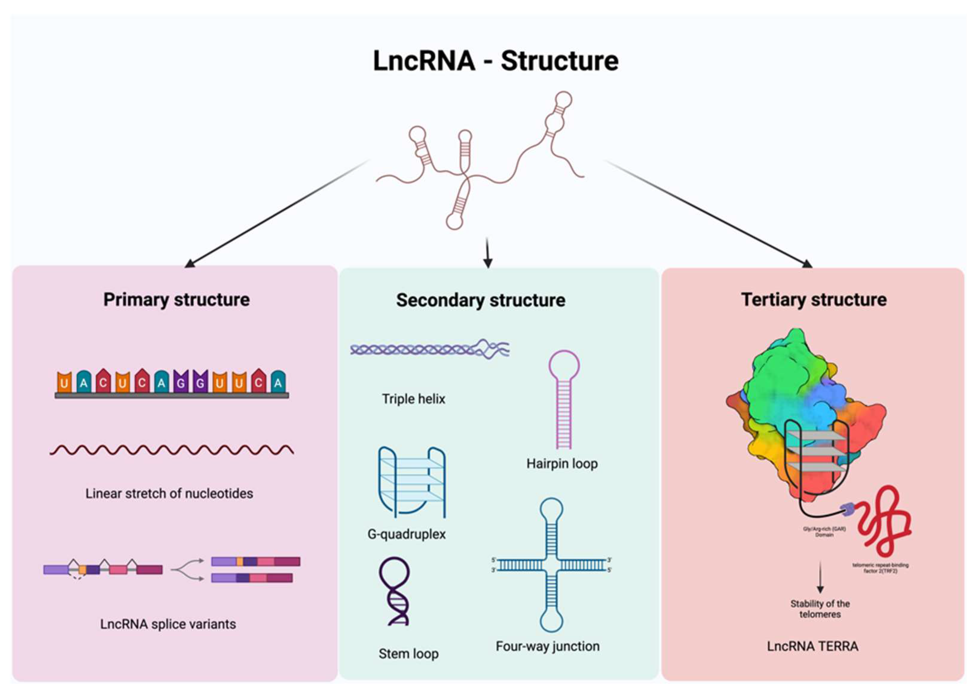 Preprints 144613 g001