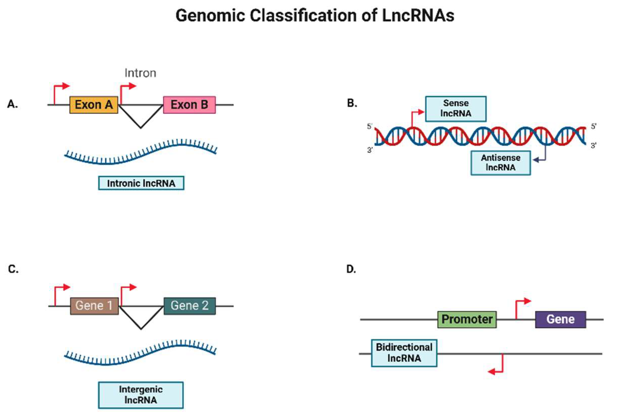 Preprints 144613 g002