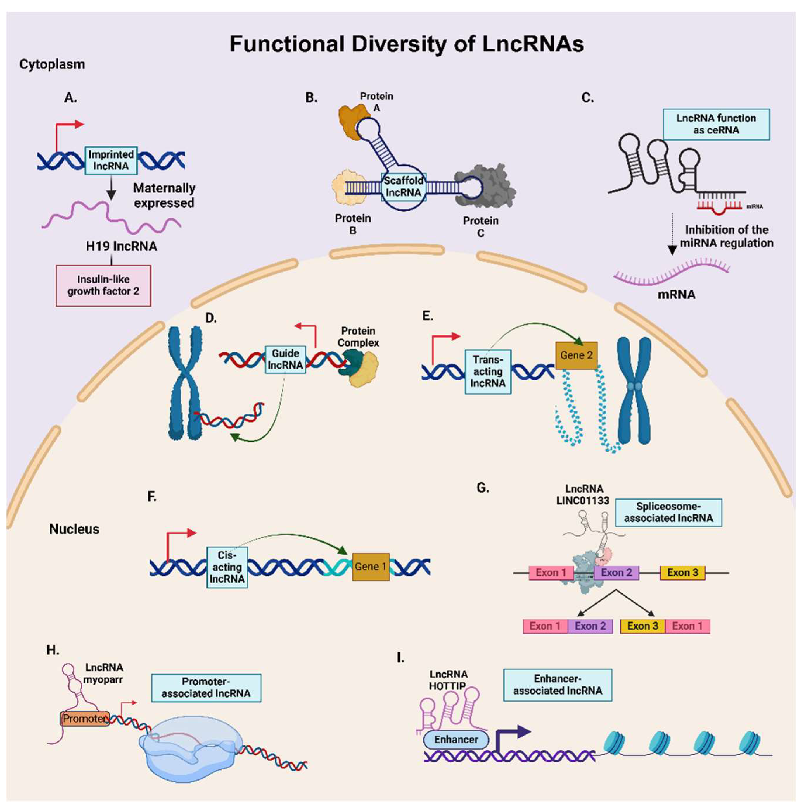 Preprints 144613 g003