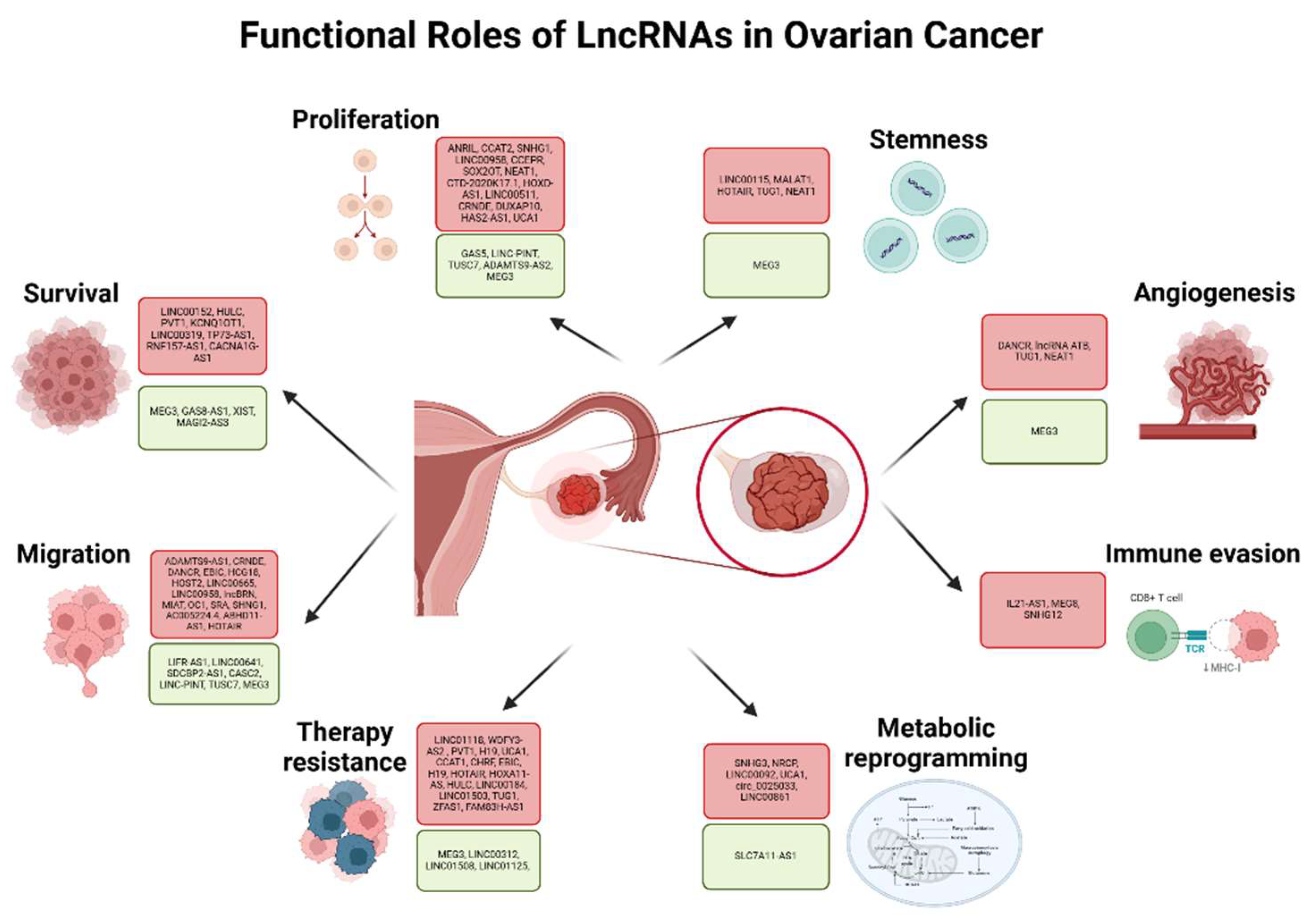 Preprints 144613 g004